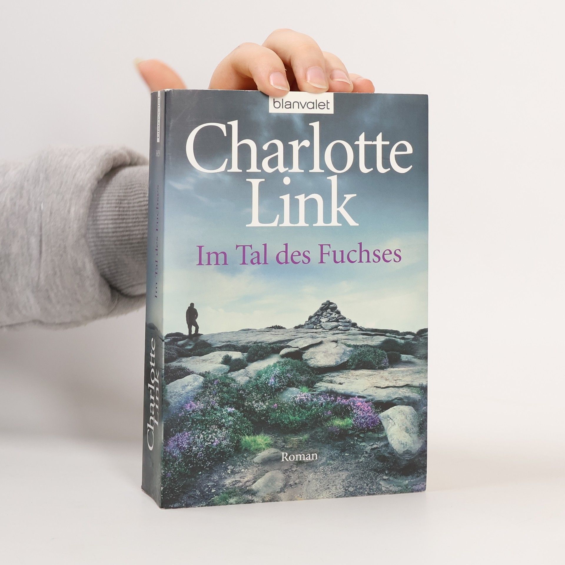 Charlotte Link Im Tal des Fuchses