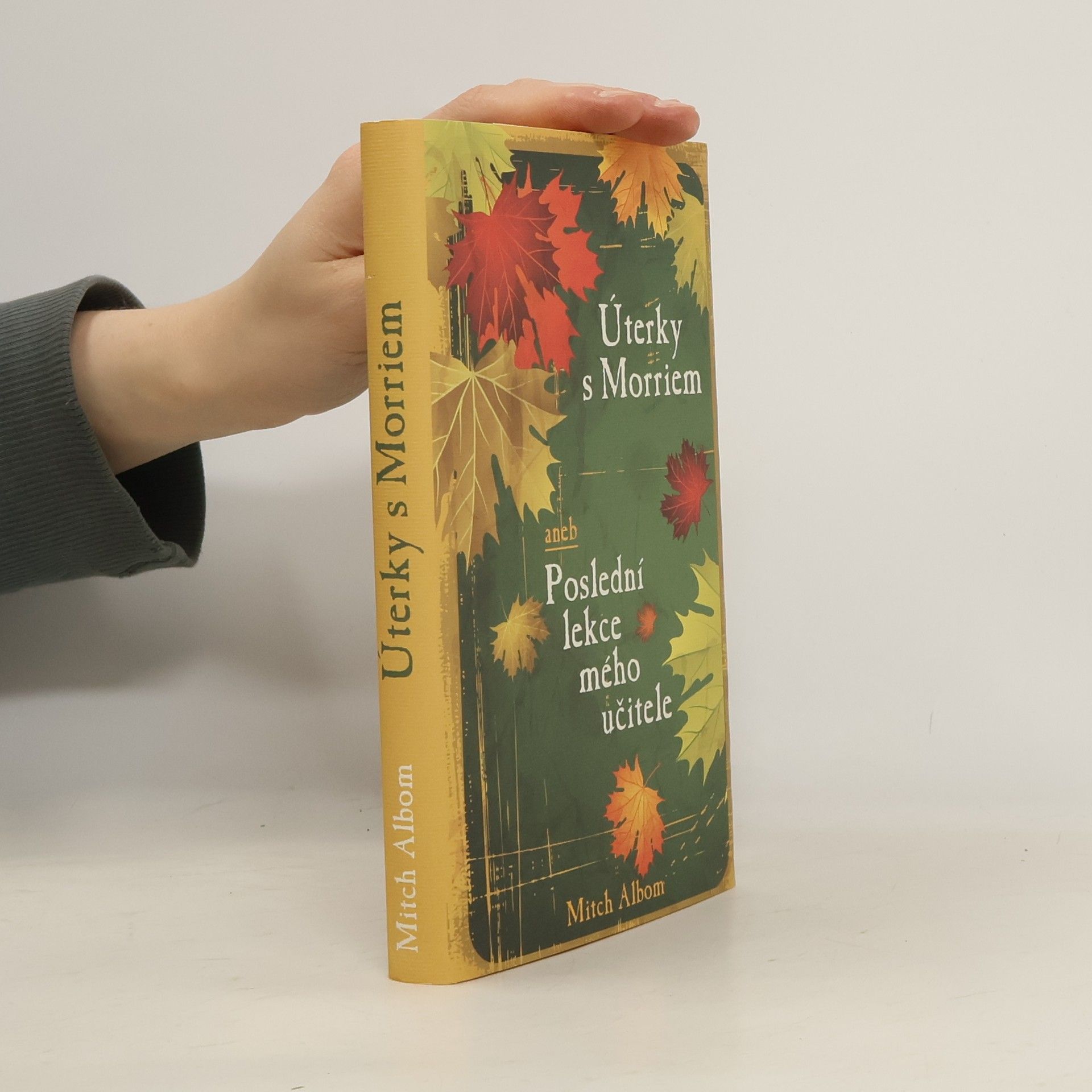 Mitch Albom Úterky s Morriem