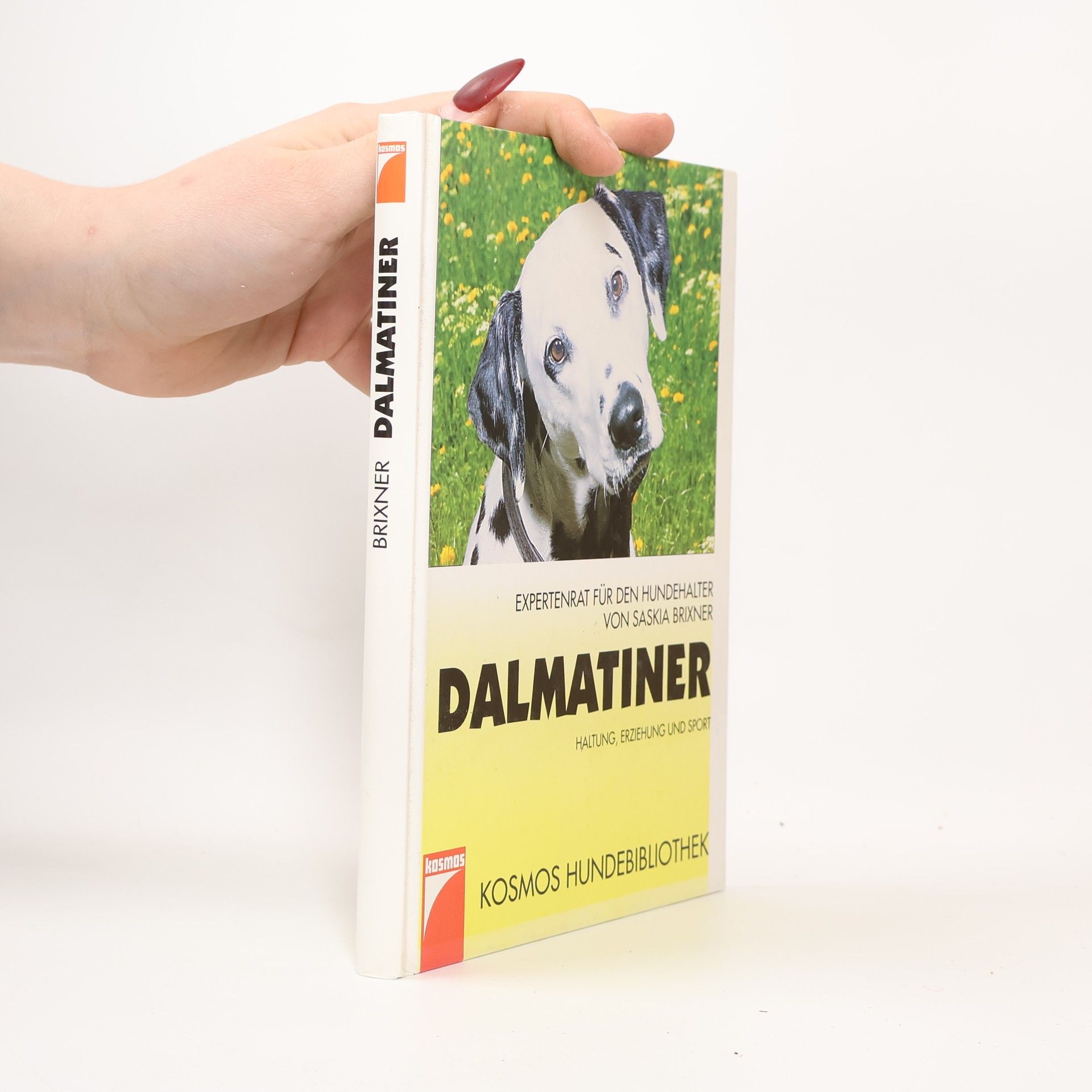 Saskia Brixner Dalmatiner