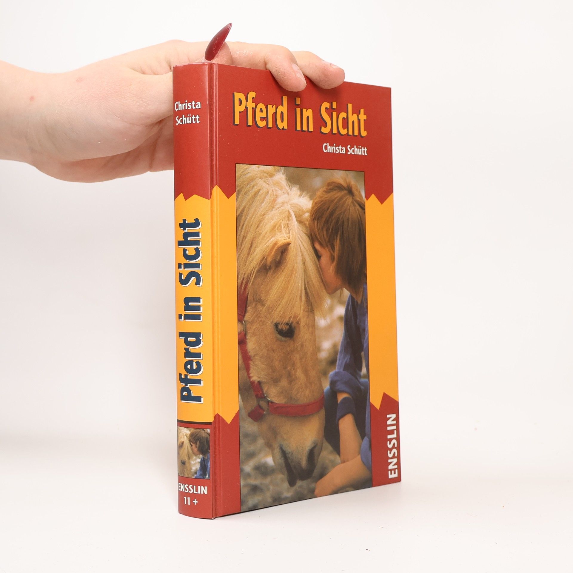 Pferd in Sicht
