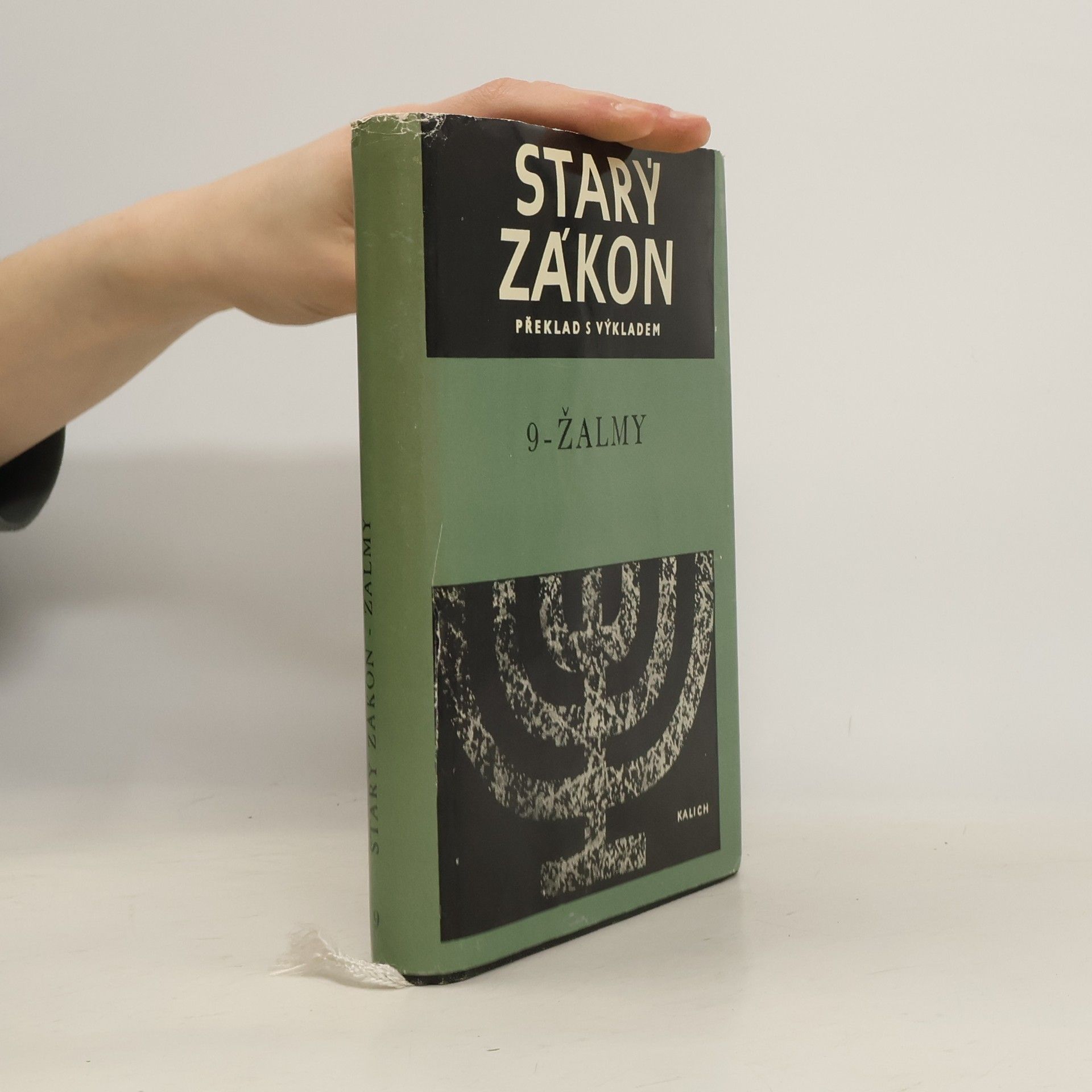 Autorenkollektiv Starý zákon. Překlad s výkladem 9. Žalmy