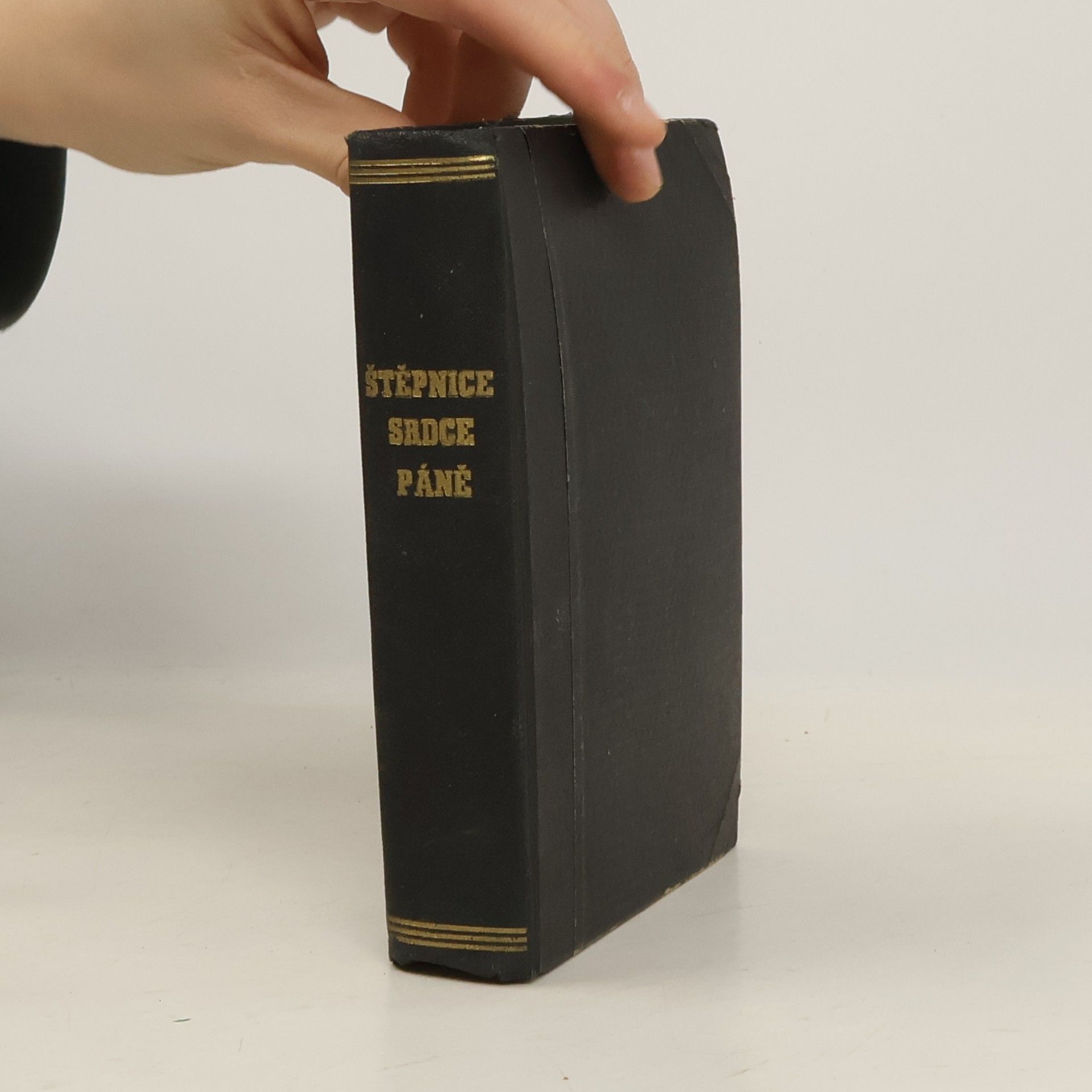 Franz Seraph Hattler Štěpnice Srdce Páně