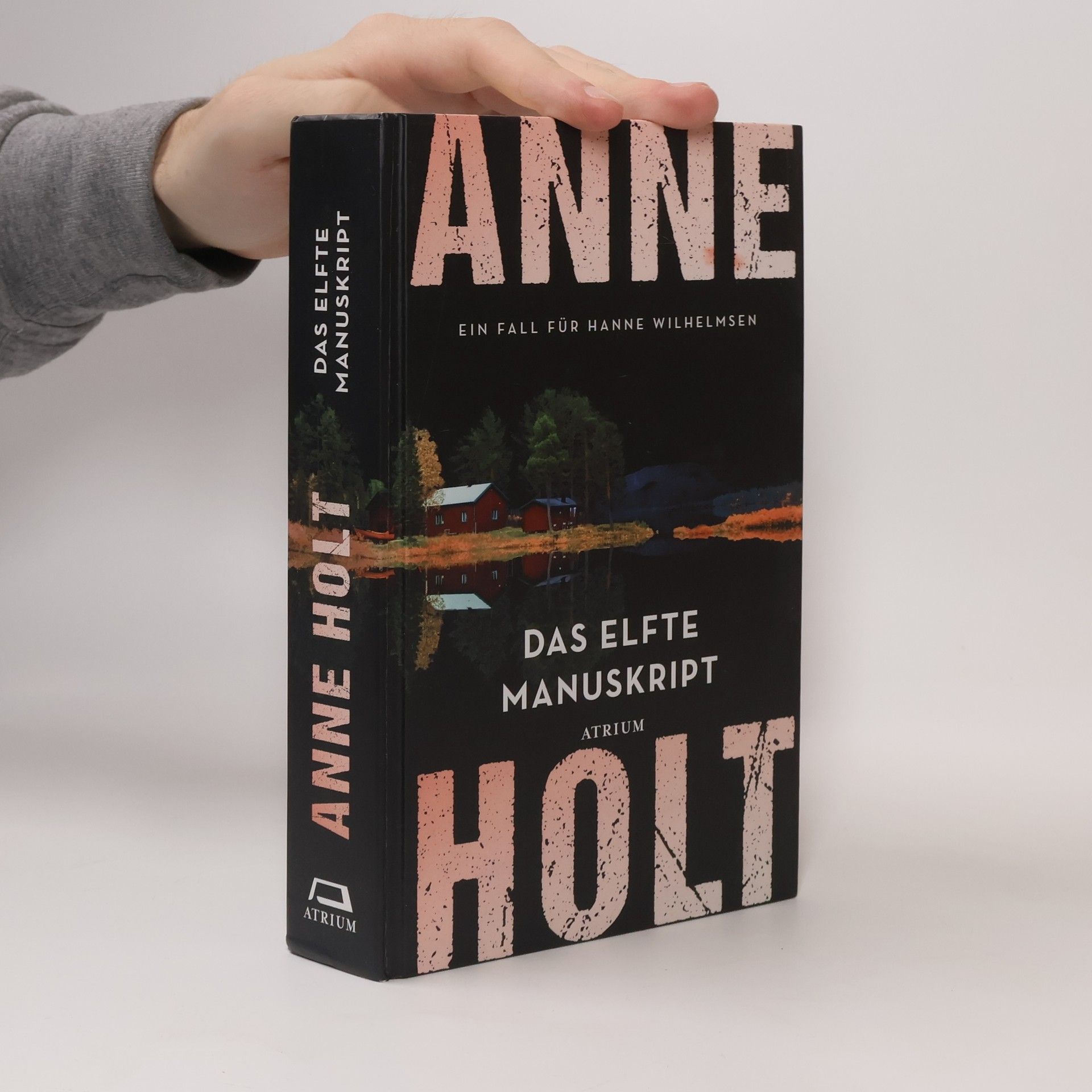 Anne Holt Das elfte Manuskript. Ein Fall für Hanne Wilhelmsen