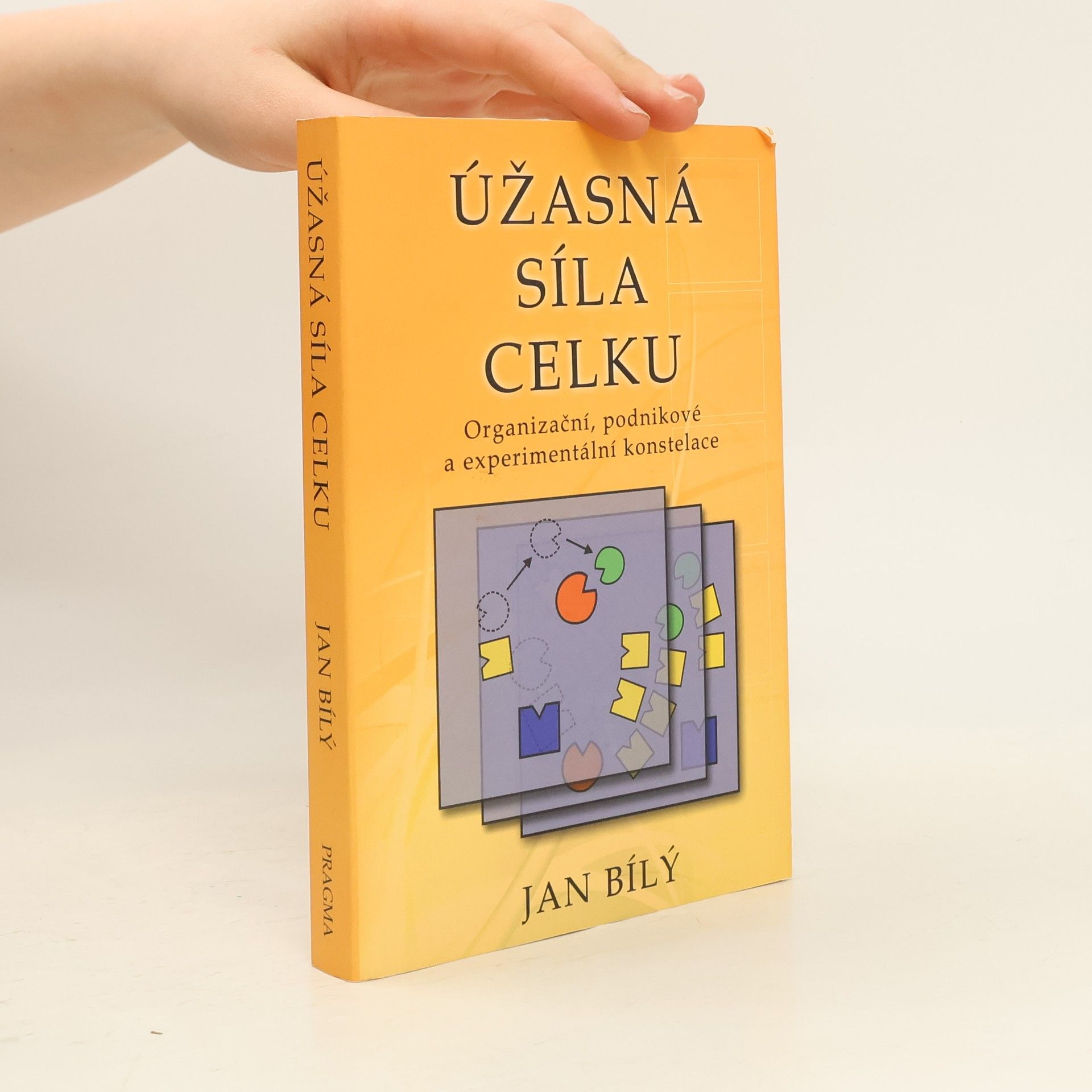 Jan Bílý Úžasná síla celku : organizační, podnikové a experimentální konstelace