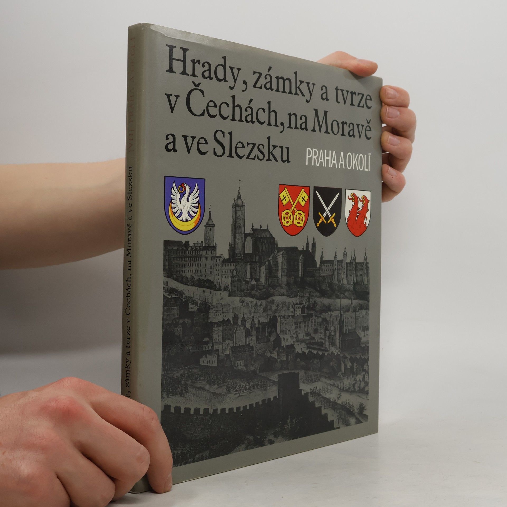 Auteurscollectief Hrady, zámky a tvrze v Čechách, na Moravě a ve Slezsku VII. Praha a okolí