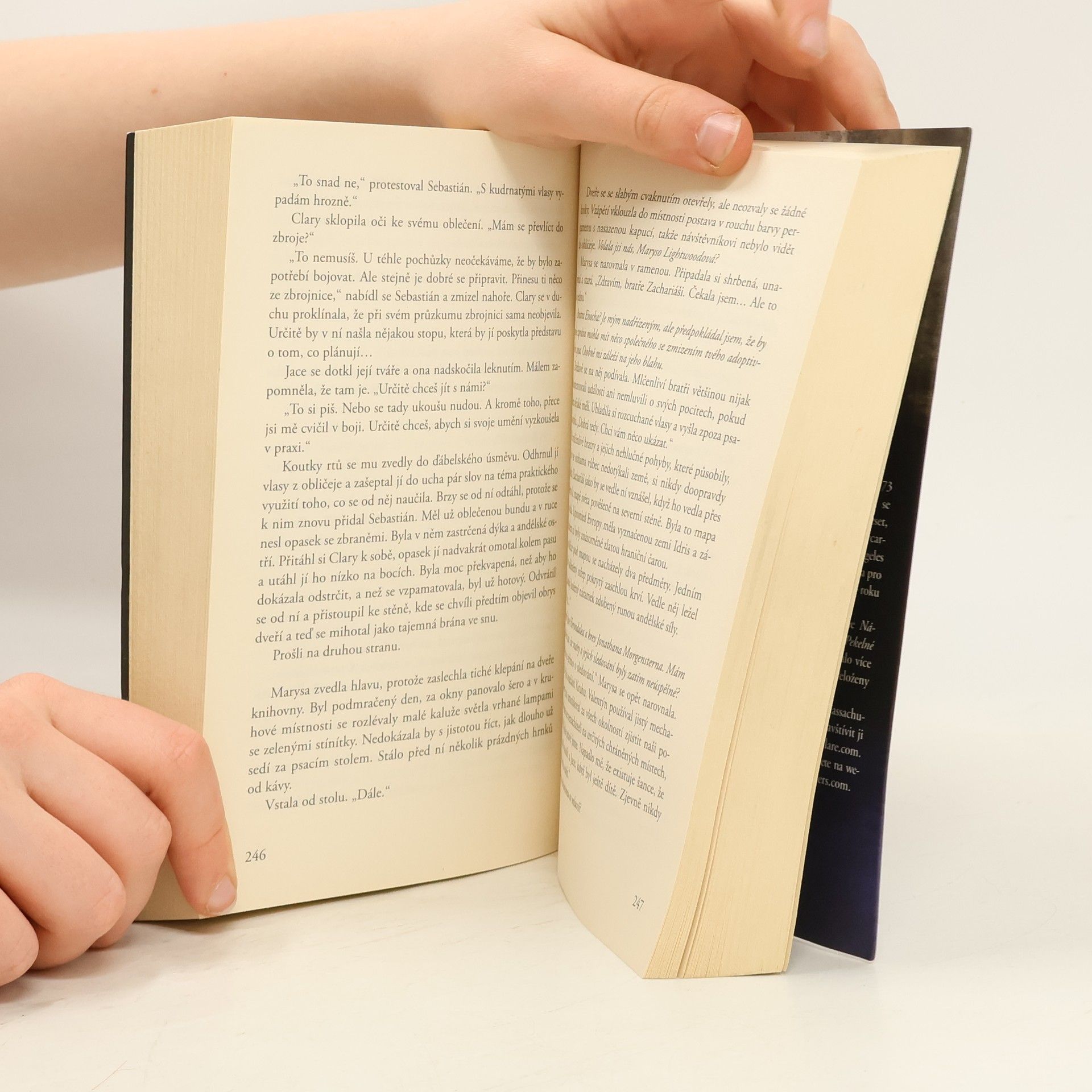 Cassandra Clare Nástroje smtri 5: Město ztracených duší