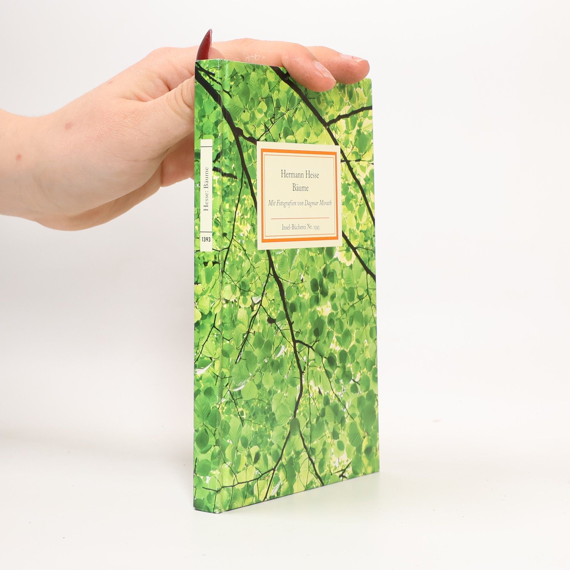Hermann Hesse Bäume