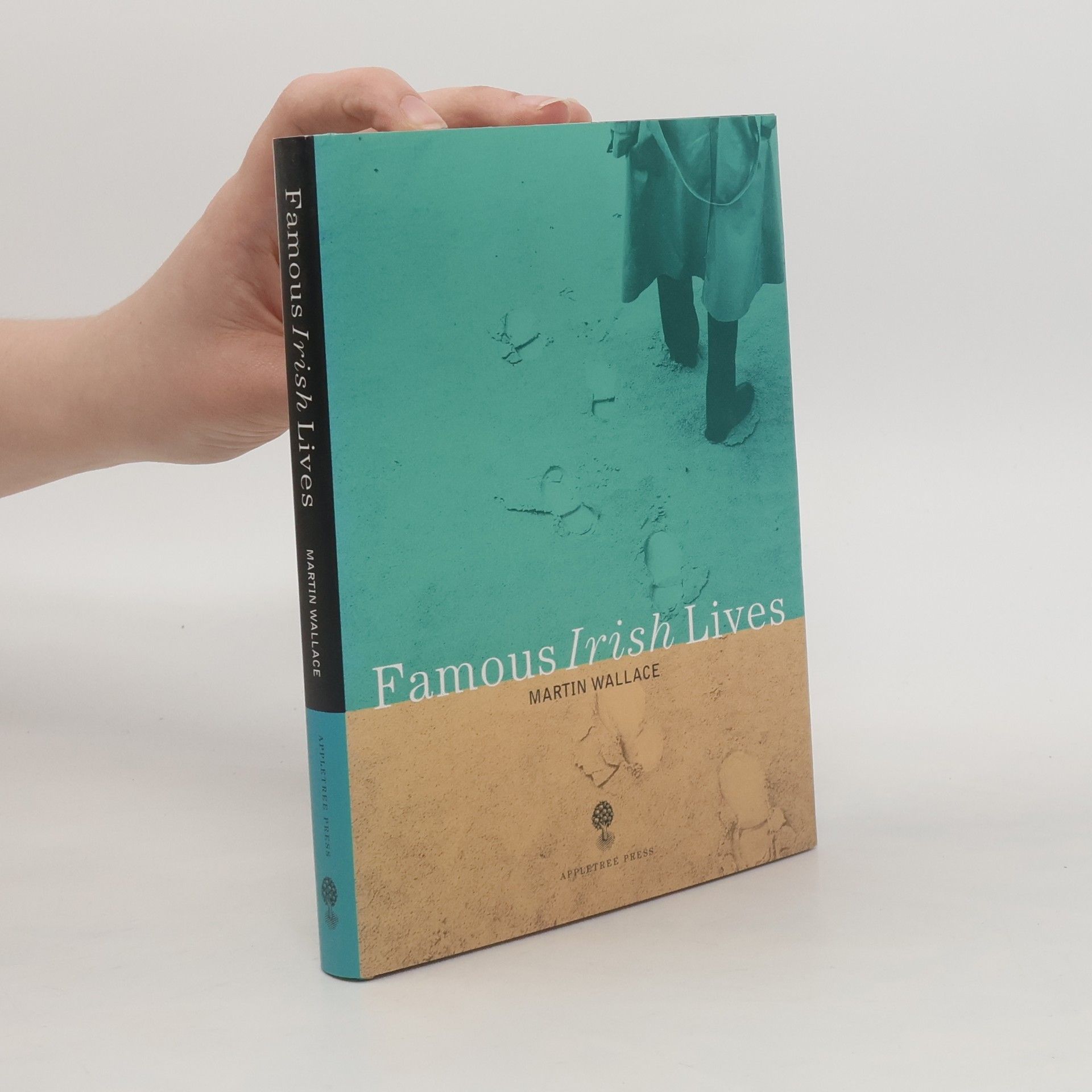 Martin Wallace Famous Irish Lives