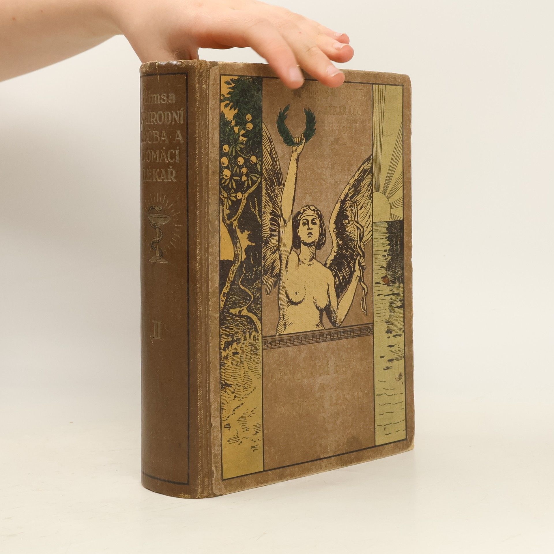 Jan Šimsa Přírodní léčba a domácí lékař. Díl II.