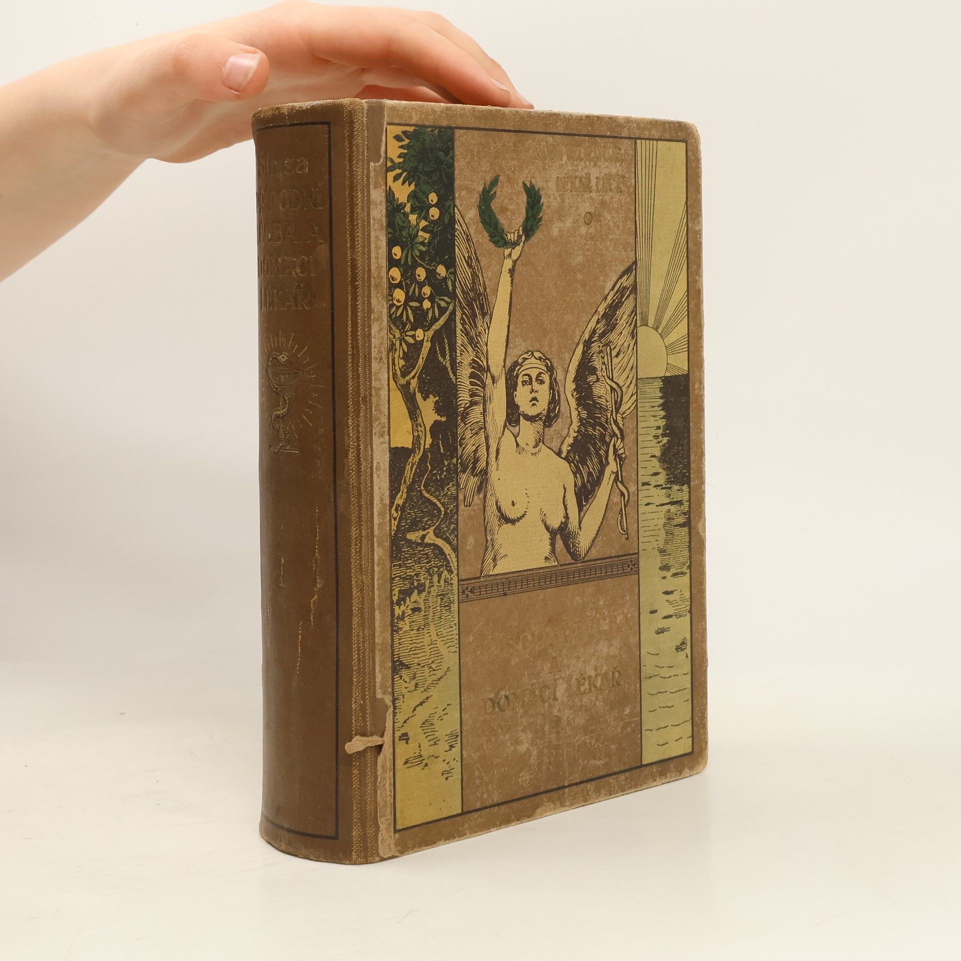 Jan Šimsa Přírodní léčba a domácí lékař I.