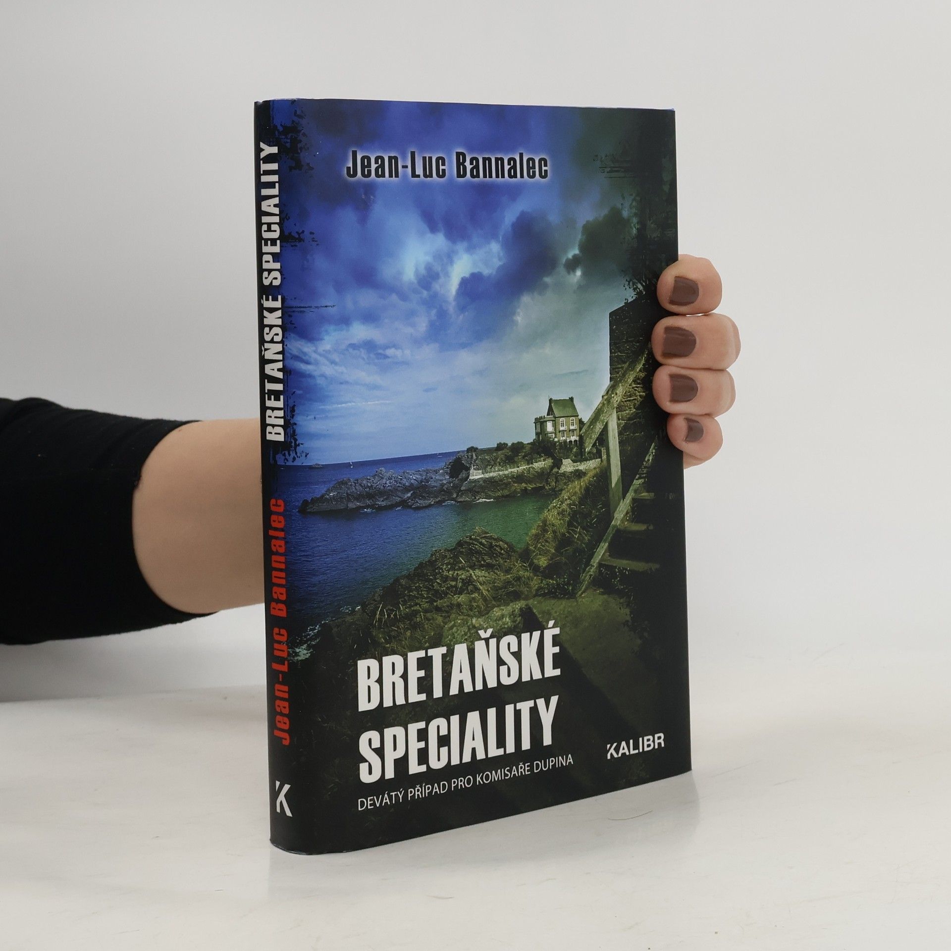 Jörg Bong Bretaňské speciality : devátý případ pro komisaře Dupina