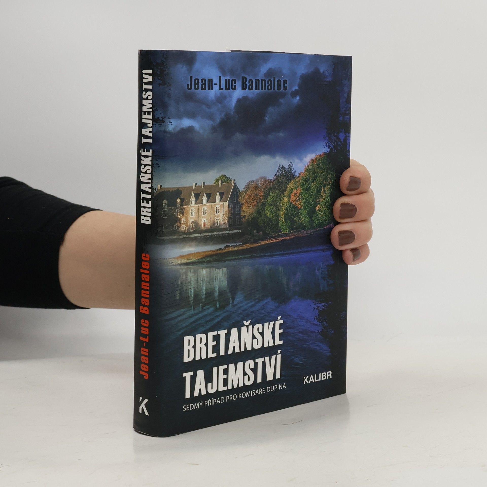 Jörg Bong Bretaňské tajemství