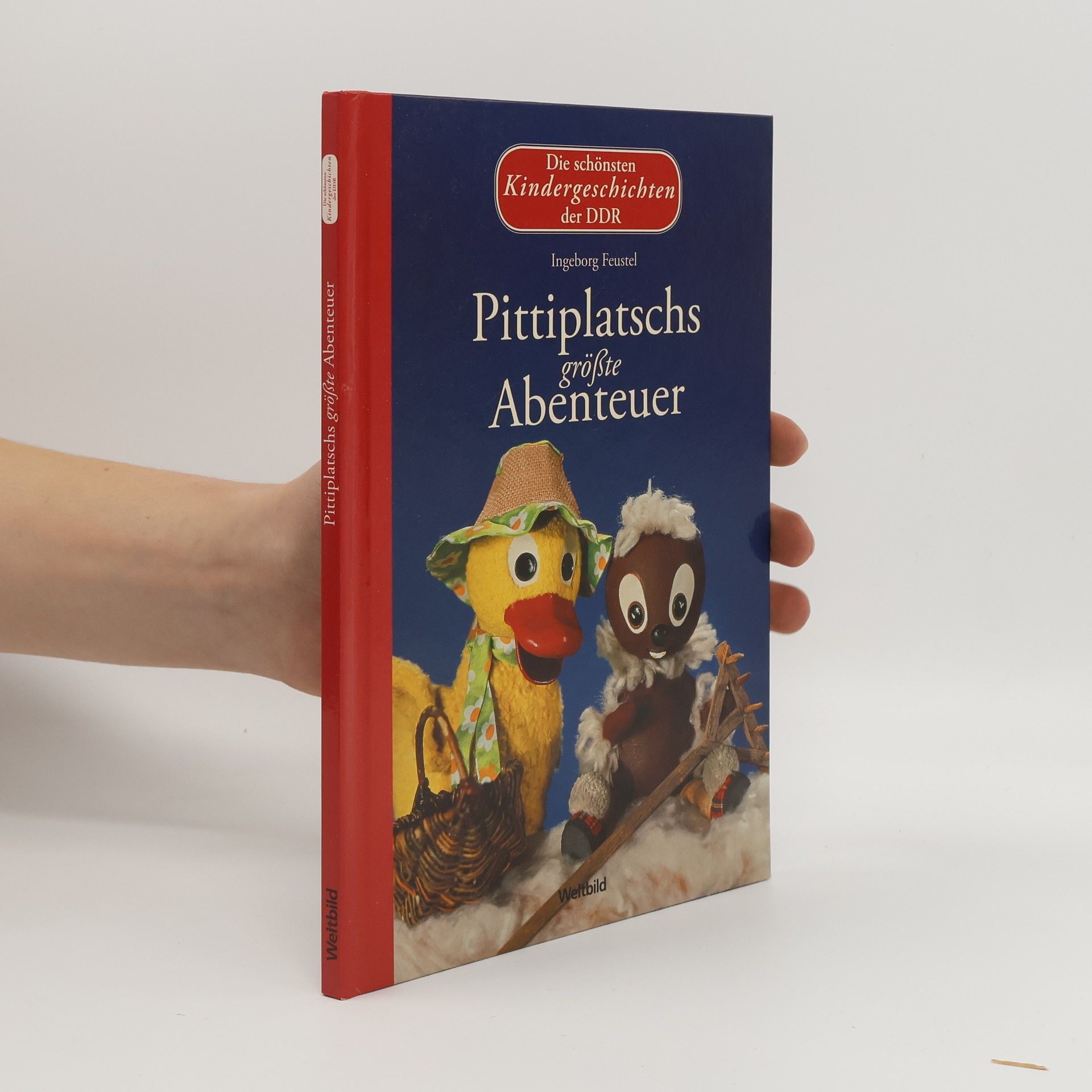 Ingeborg Feustel Pittiplatschs größte Abenteuer - Die schönsten Kindergeschichten der DDR