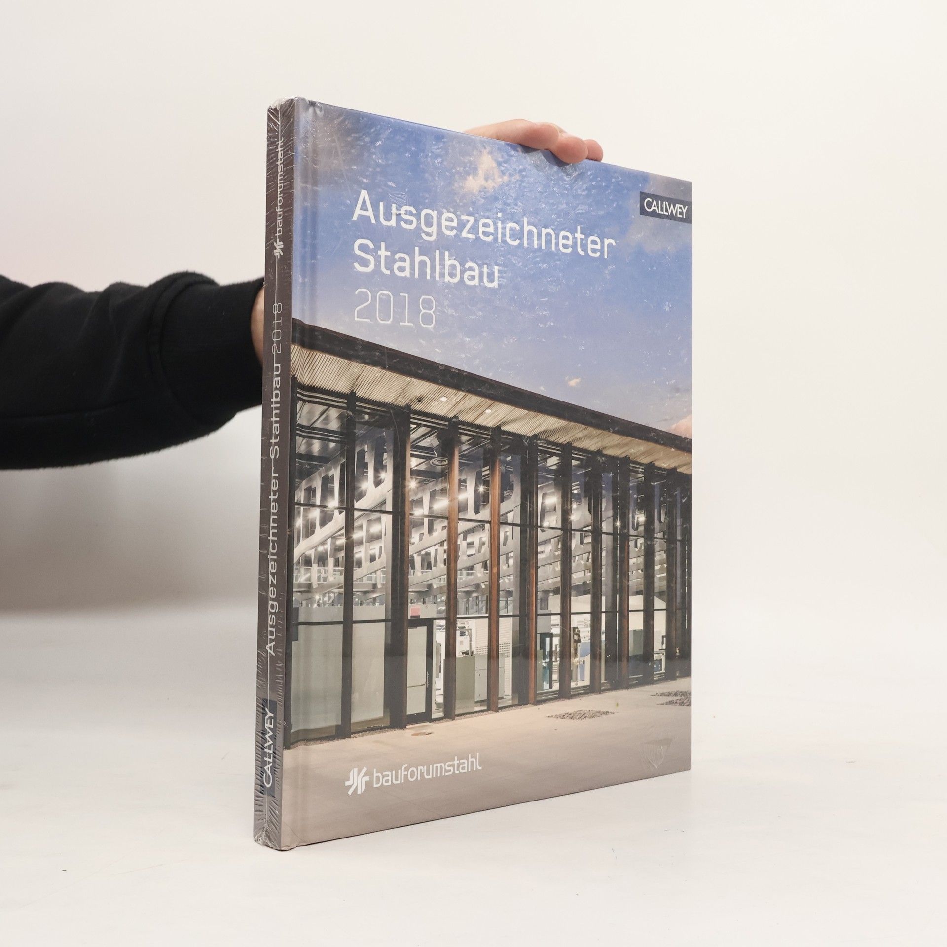 Bauforumstahl E.V Ausgezeichneter Stahlbau 2018