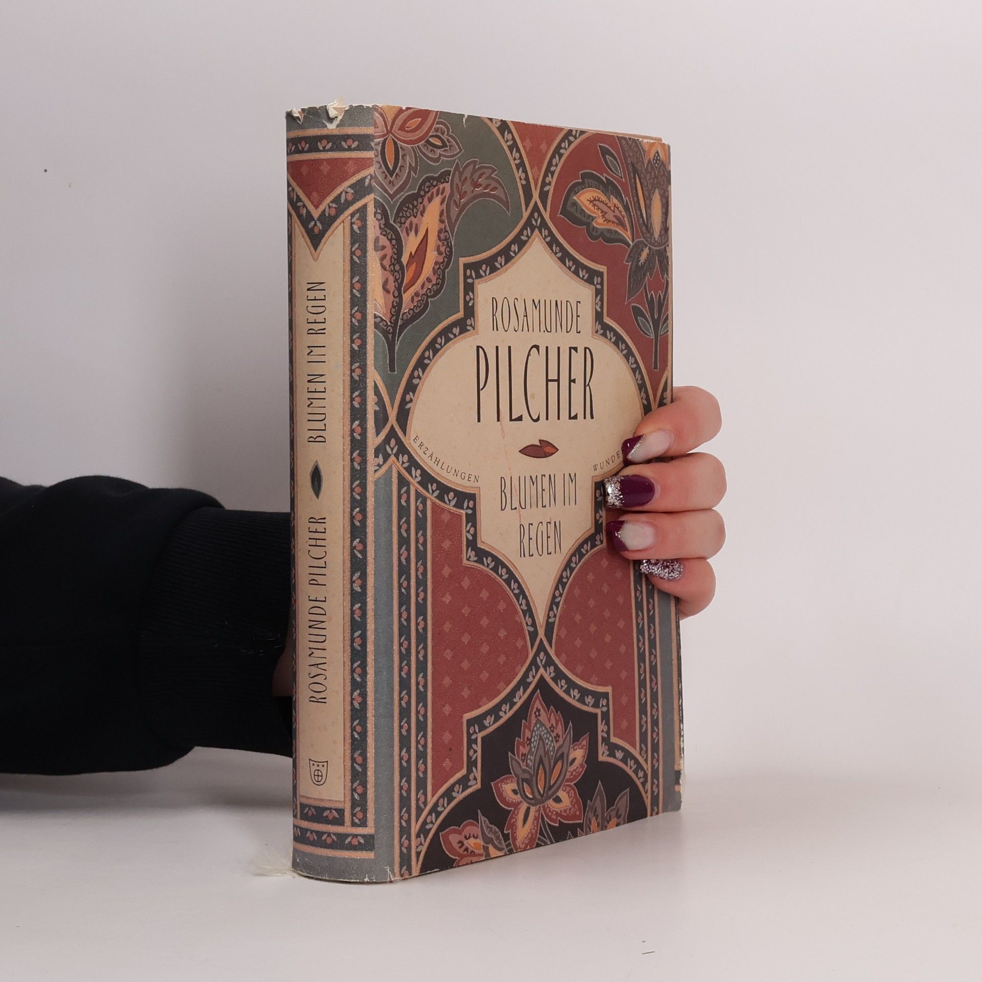 Rosamunde Pilcher Blumen im Regen : Erzählungen