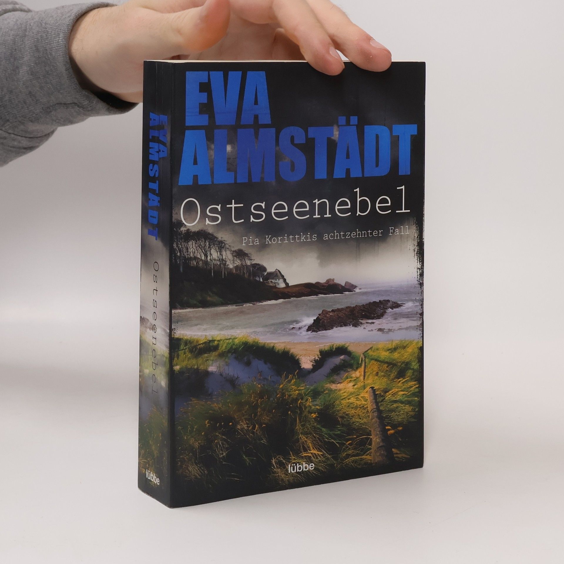 Eva Almstädt Ostseenebel