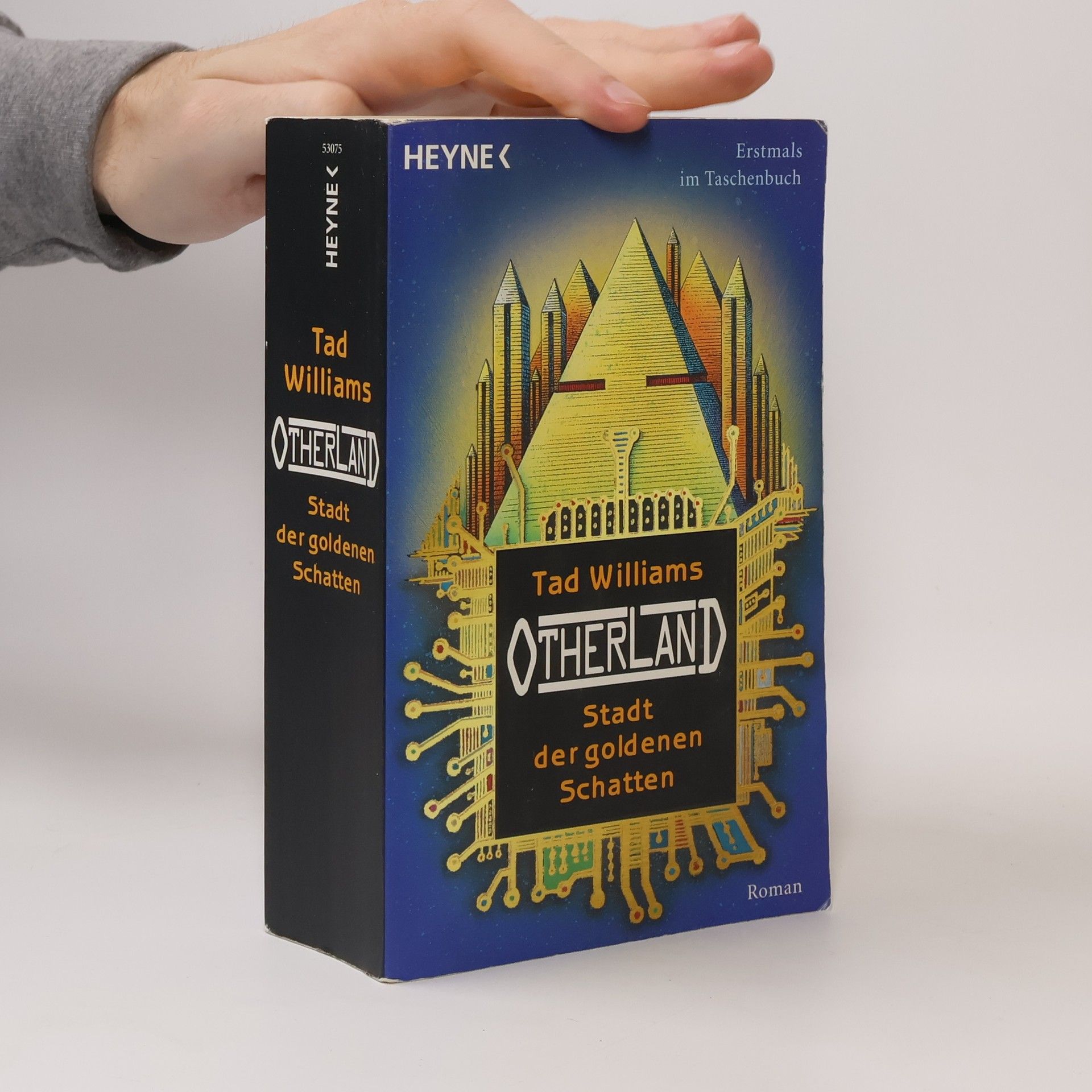 Tad Williams Otherland 1