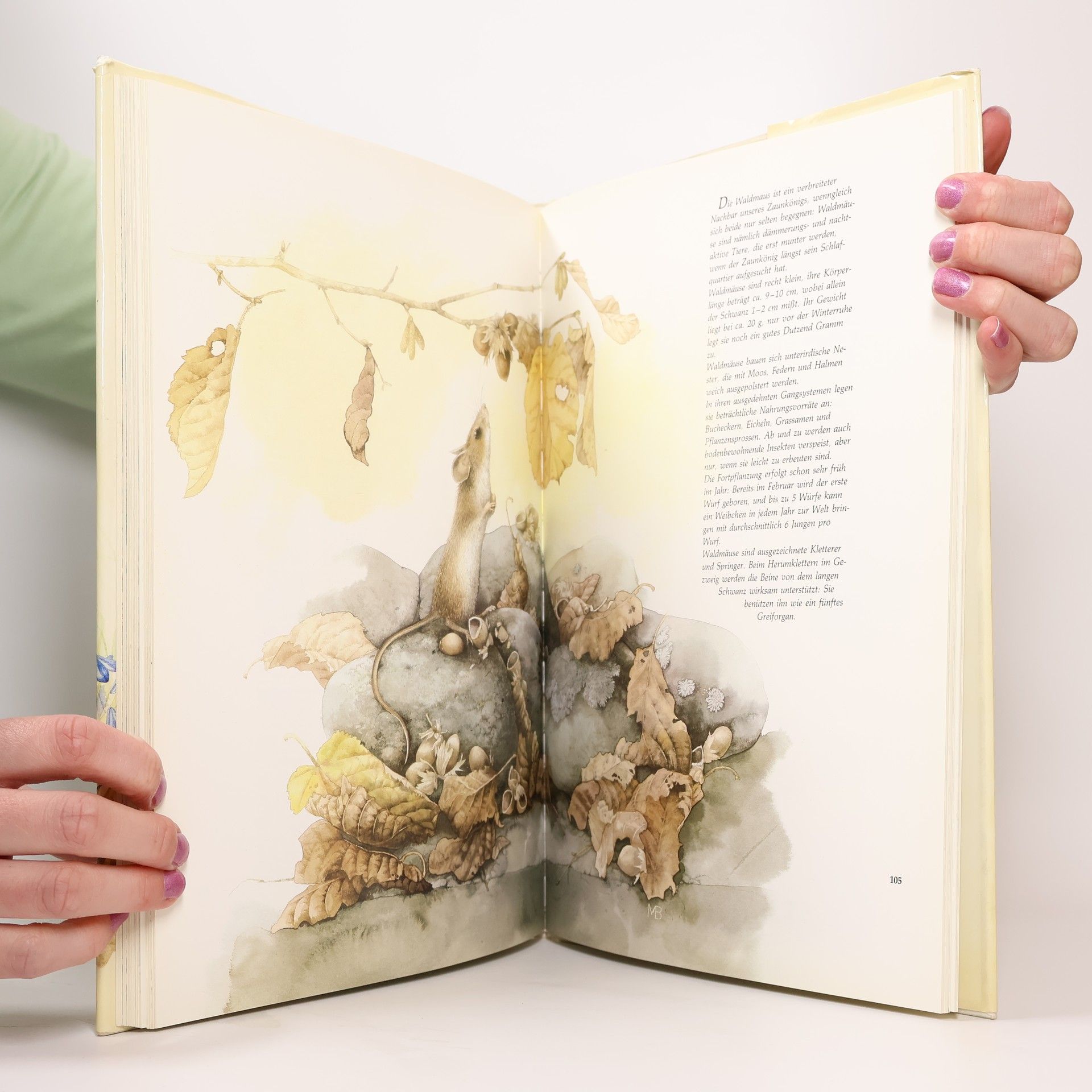 Marjolein Bastin Eine kleine Welt