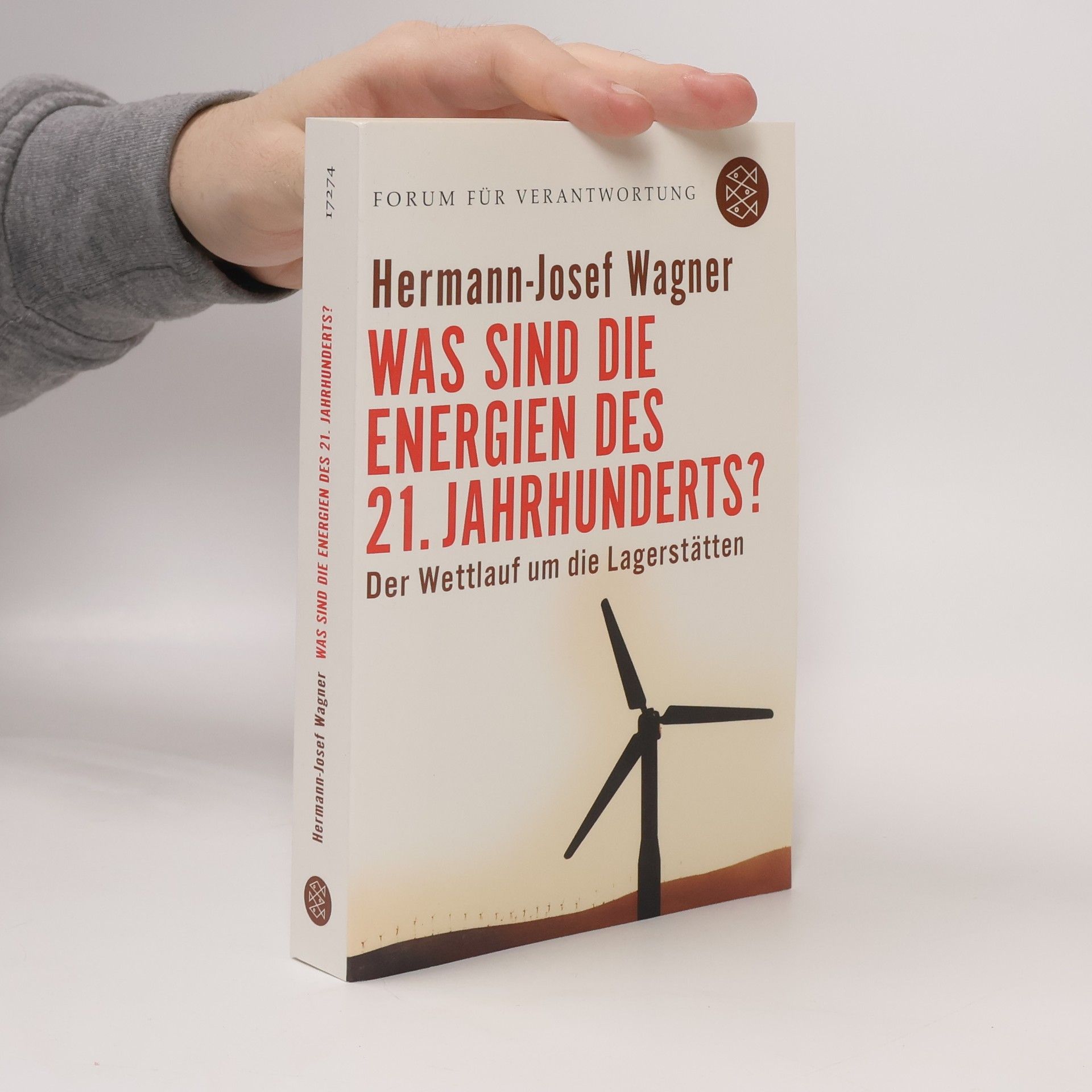 Was sind die Energien des 21. Jahrhunderts?