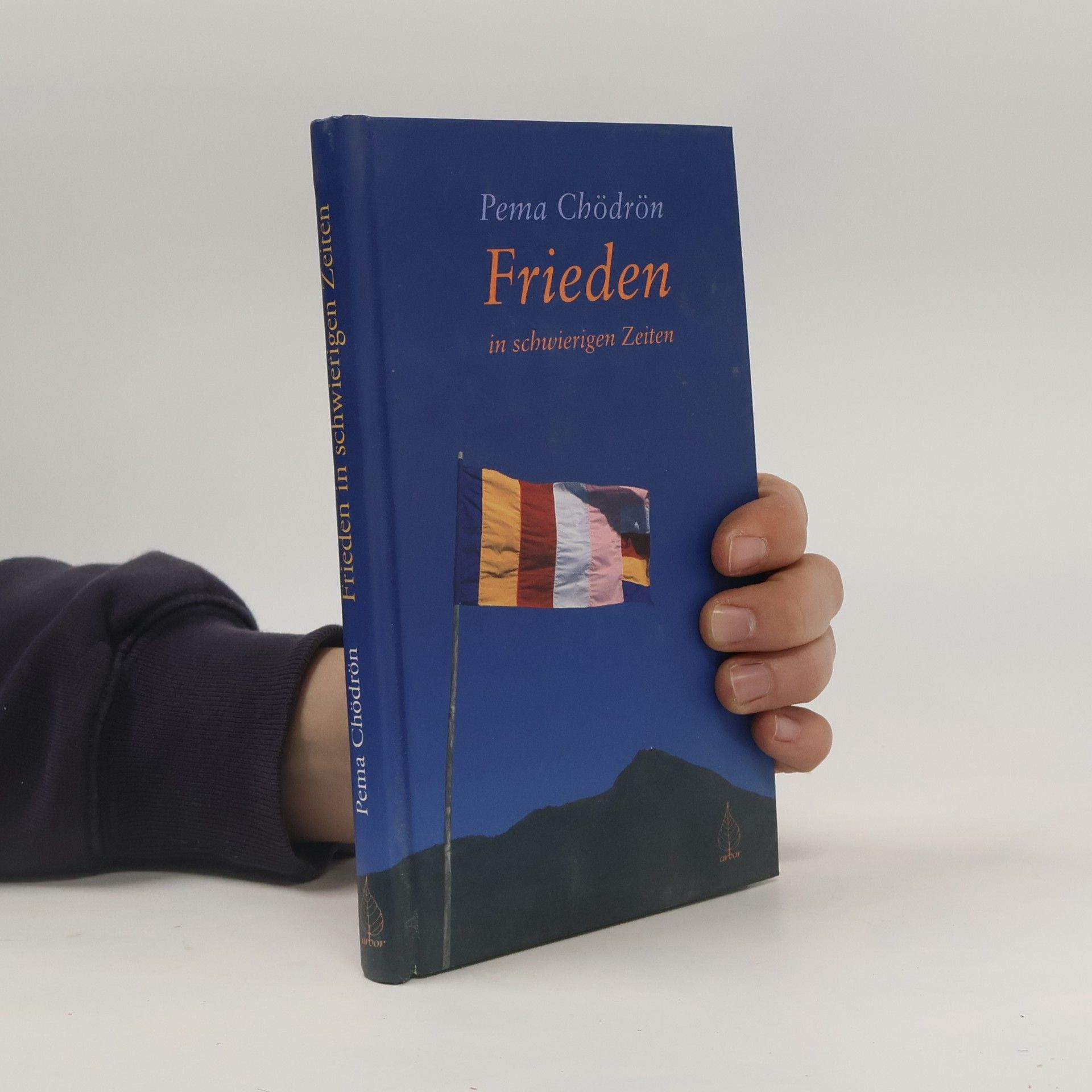 Pema Chödrön Frieden in schwierigen Zeiten