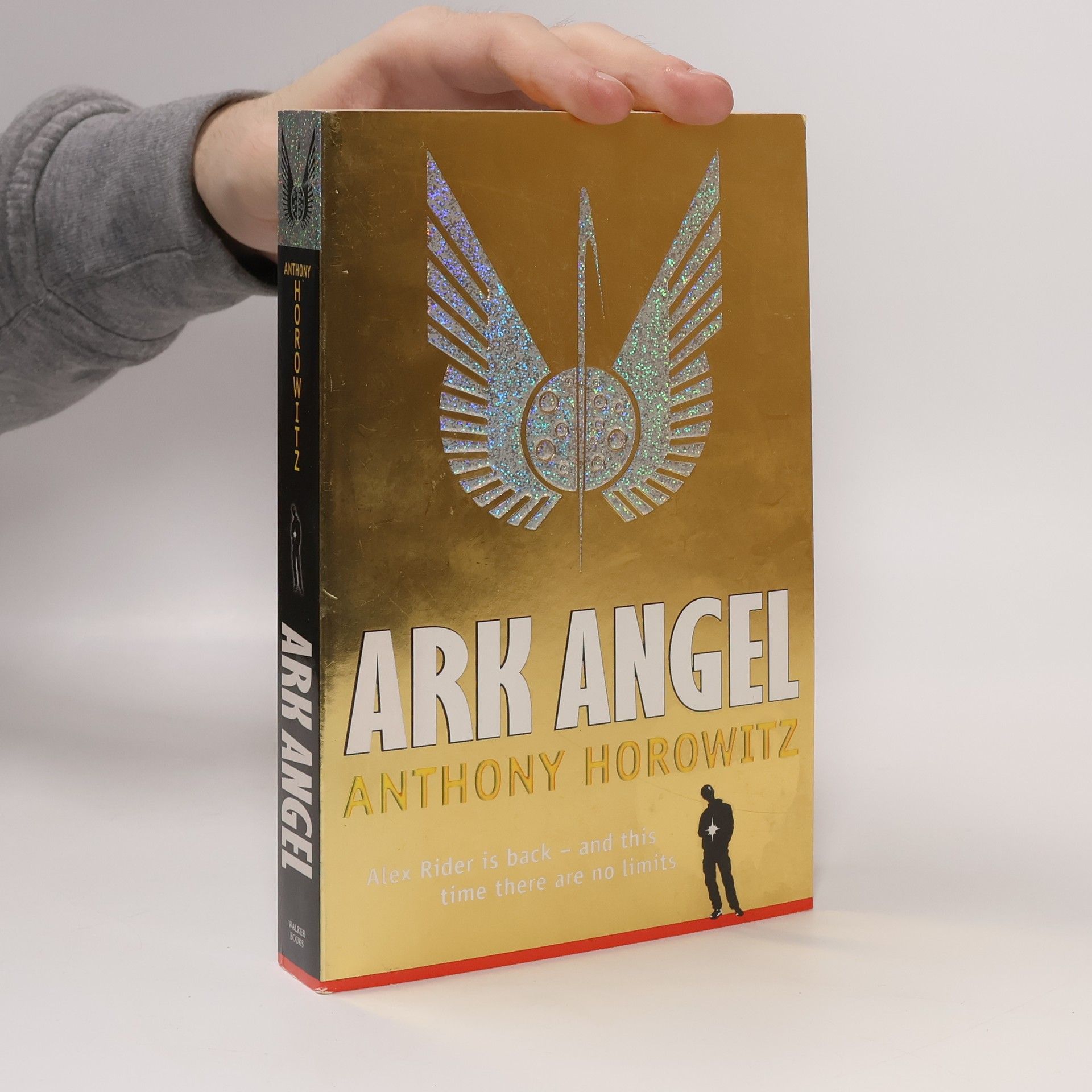 Anthony Horowitz Ark Angel