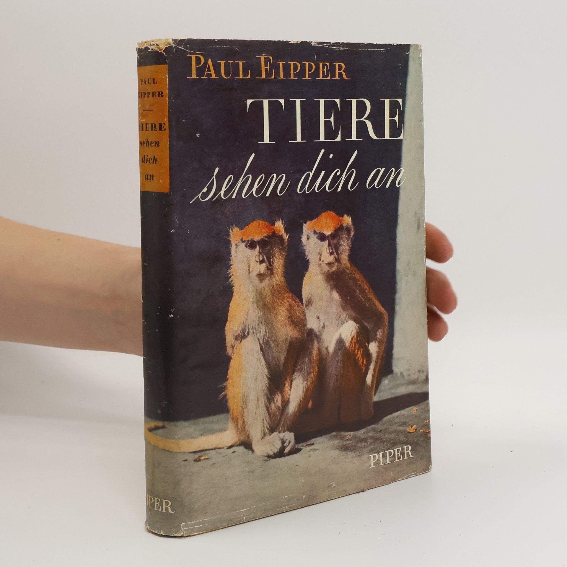 Paul Eipper Tiere sehen dich an