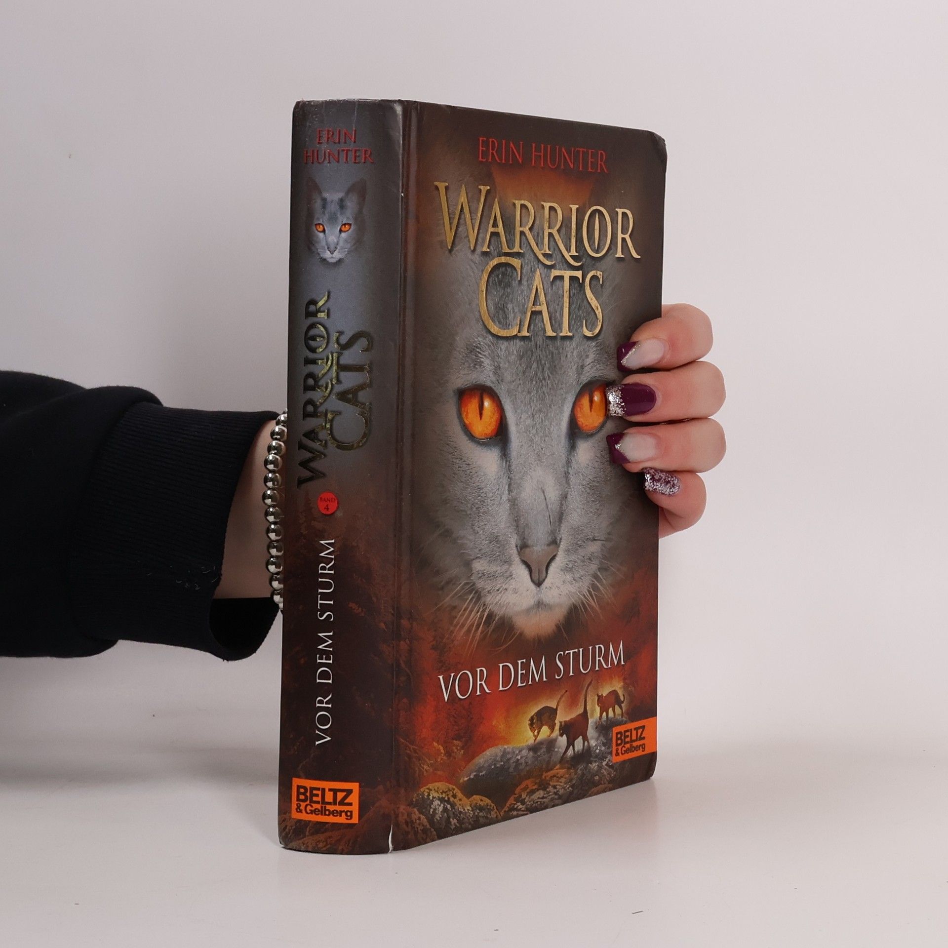 Erin Hunter Warrior Cats. Vor dem Sturm