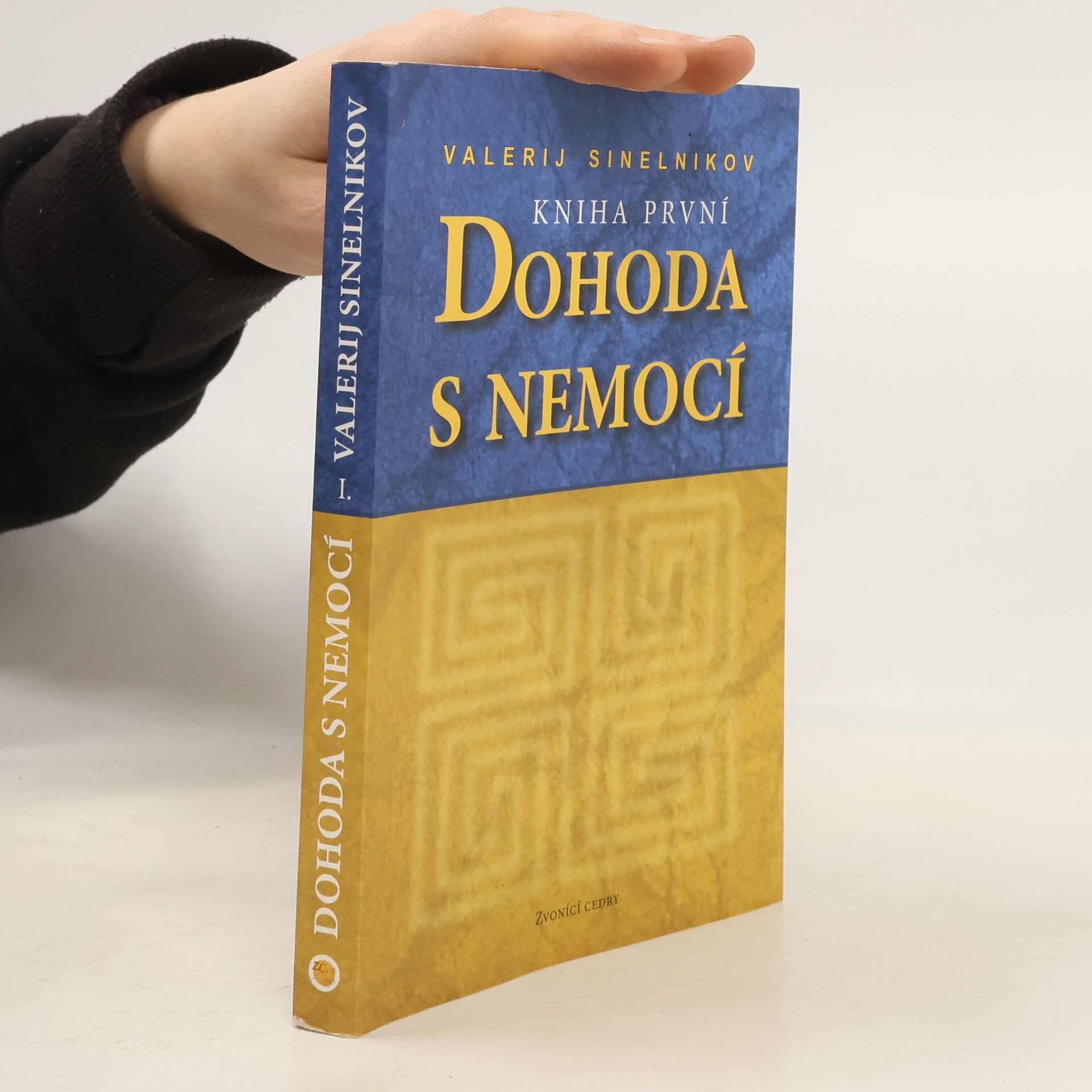 Valerij Vladimirovič Sinelnikov Dohoda s nemocí. Kniha první