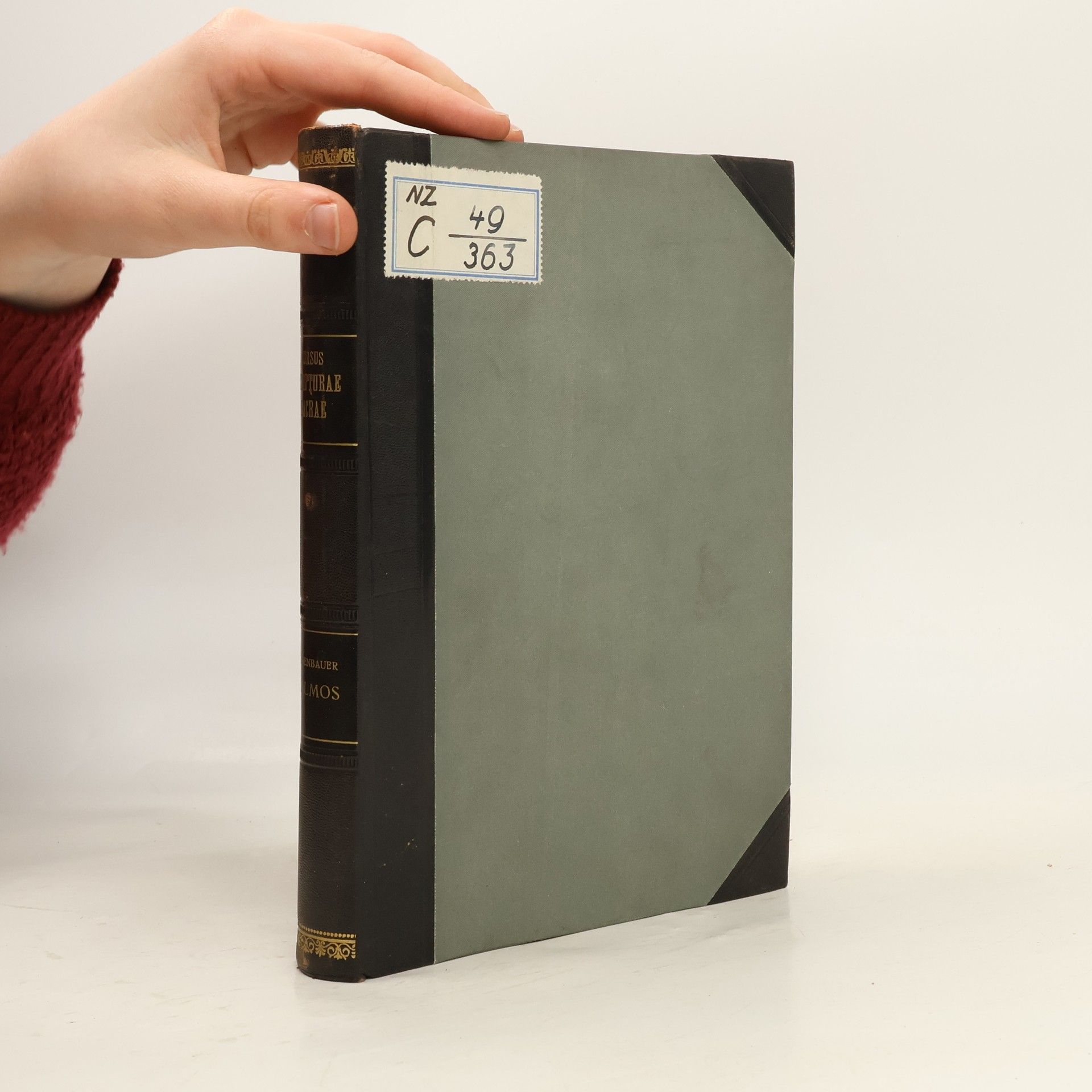 Auteurscollectief Commentarius in Psalmos