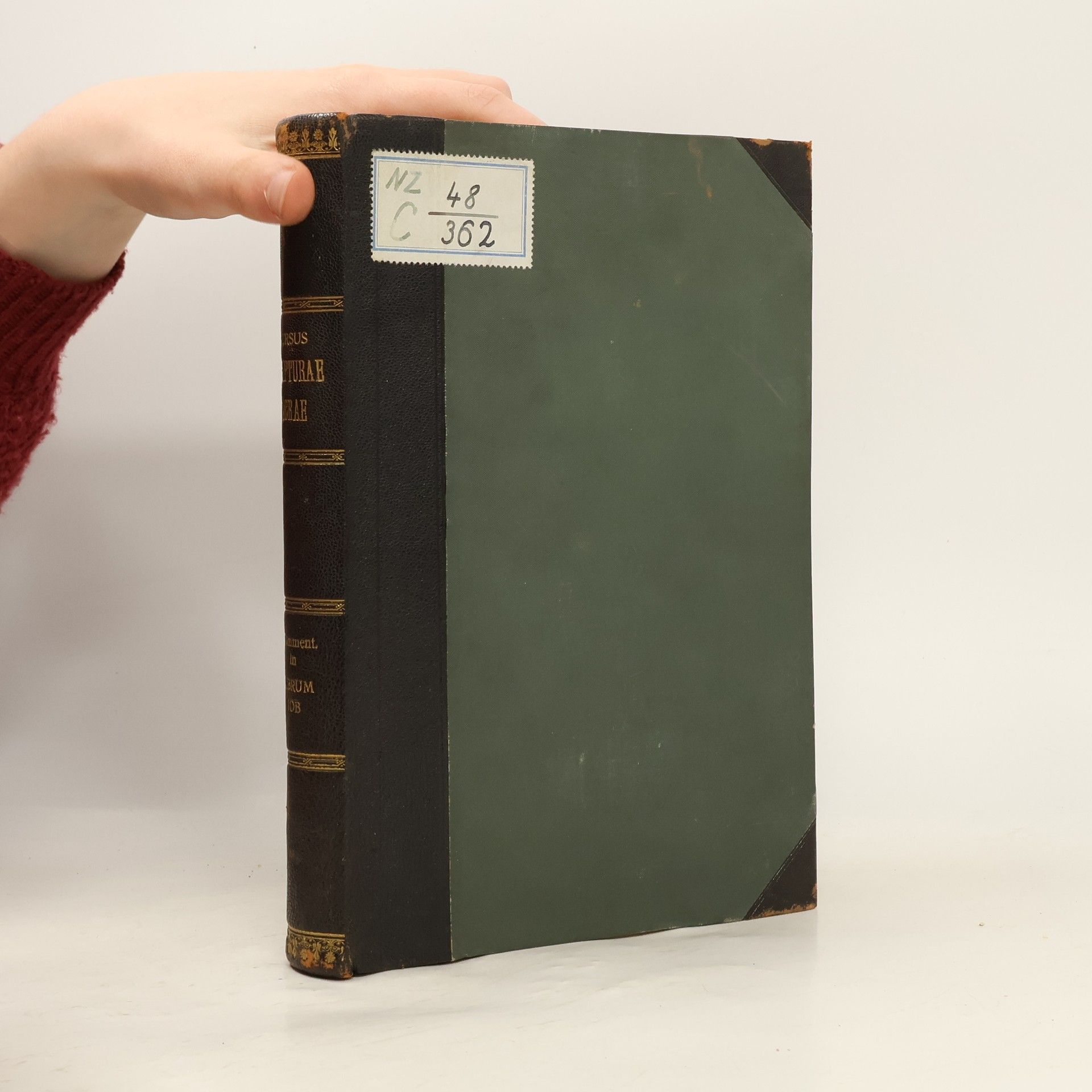 Josef Knabenbauer Commentarius in librum Iob