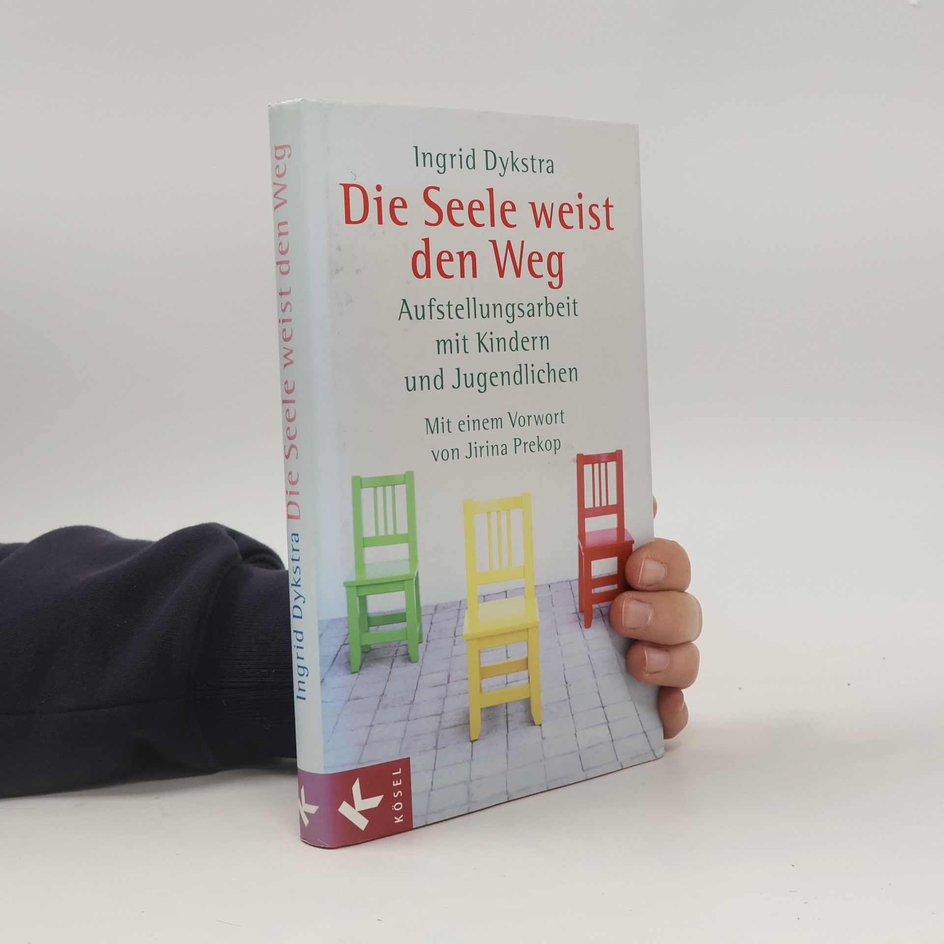 Ingrid Dykstra Die Seele weist den Weg