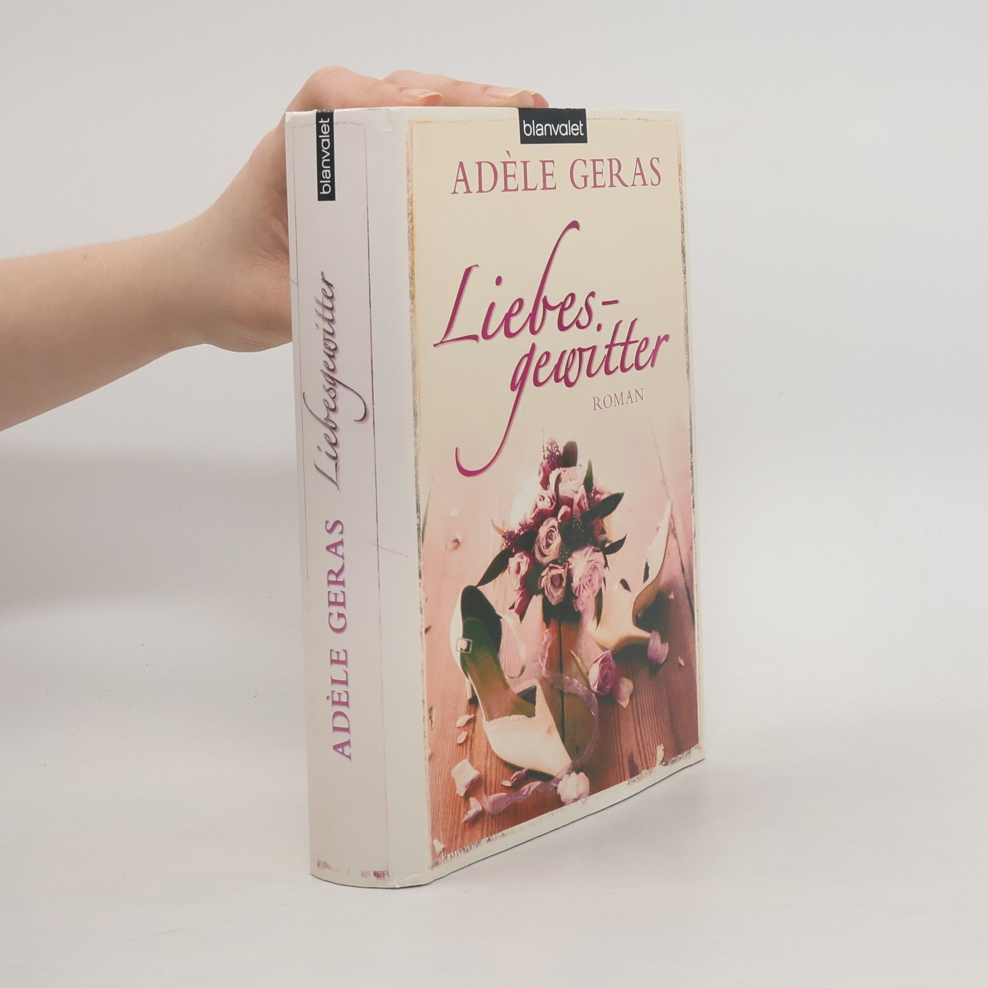 Adèle Geras Liebesgewitter