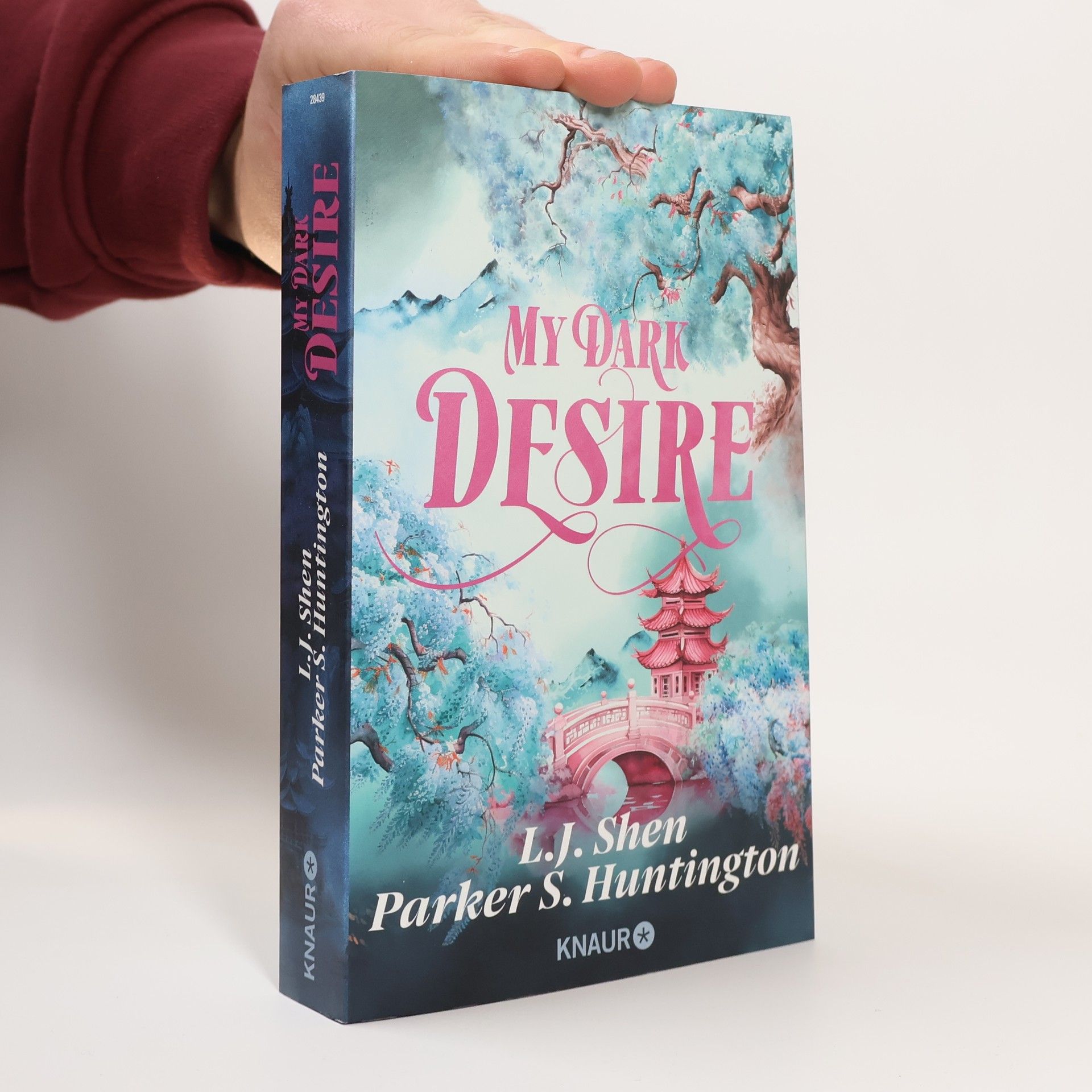 L. J. Shen My Dark Desire