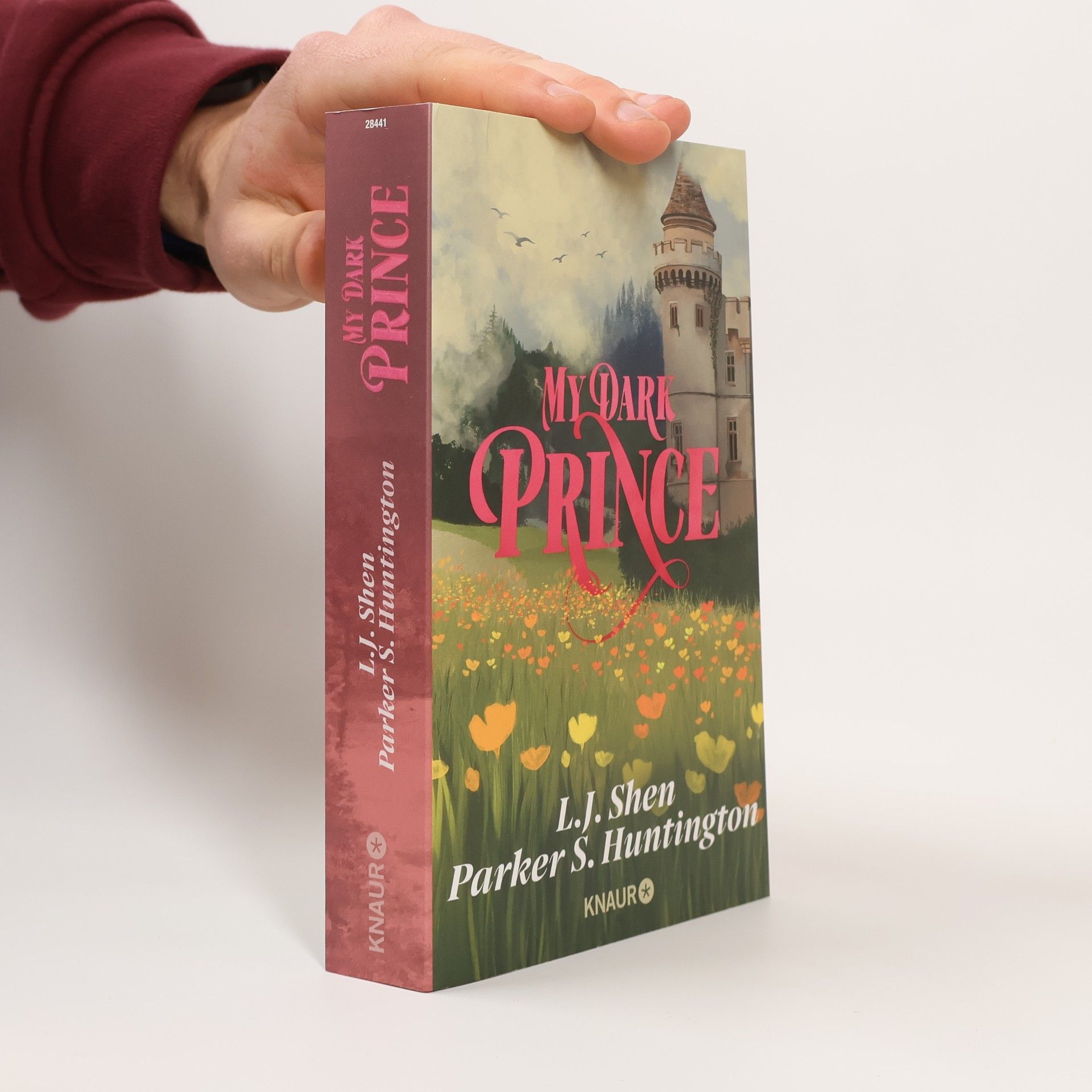 L. J. Shen My Dark Prince