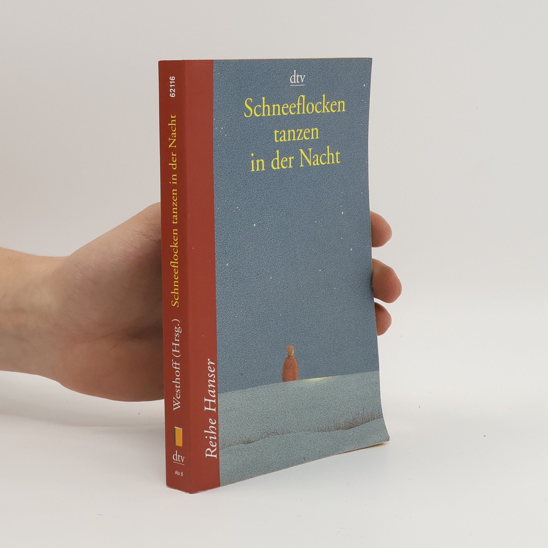 Hannelore Westhoff Schneeflocken tanzen in der Nacht