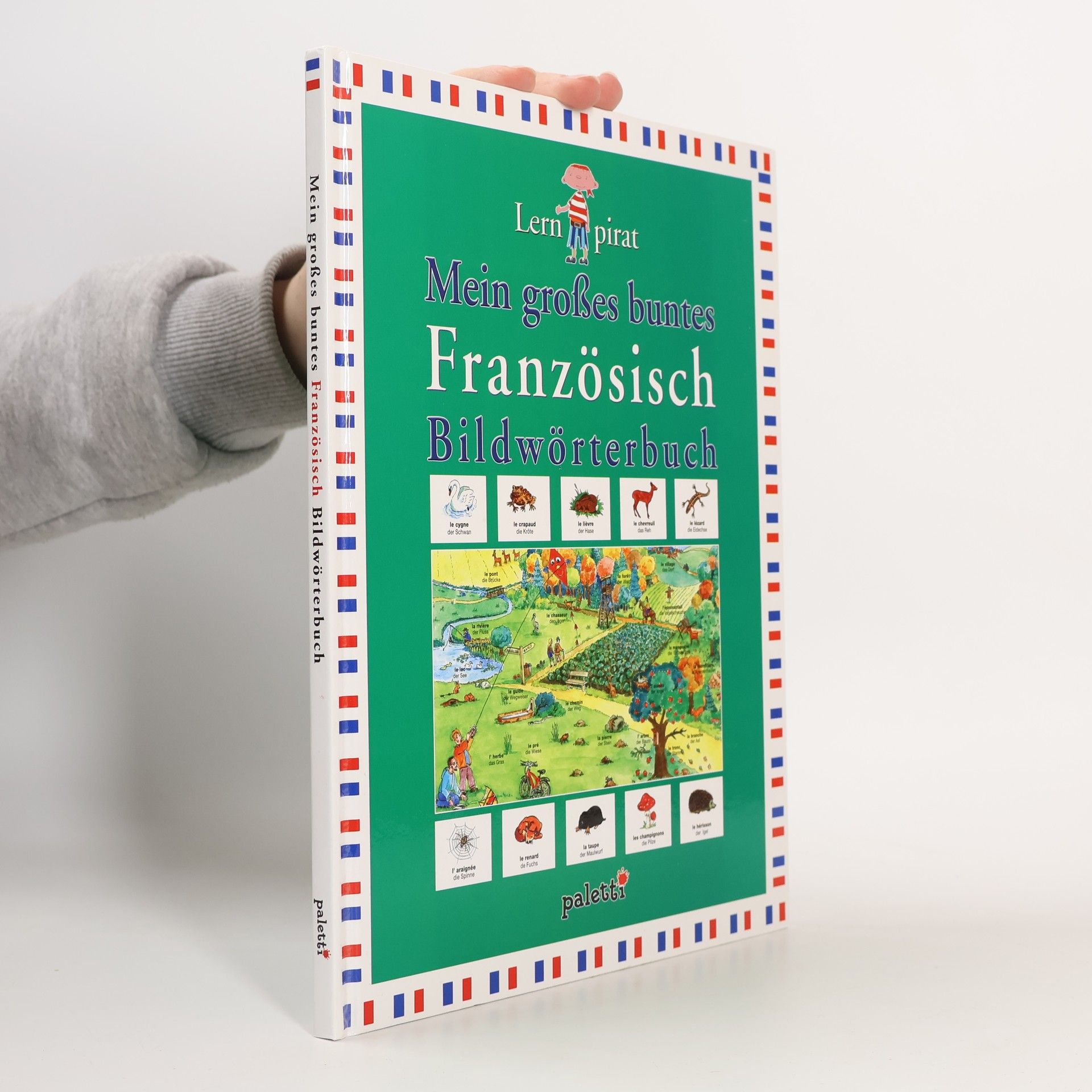 Hinrich Altemüller Mein großes buntes Französisch-Bildwörterbuch