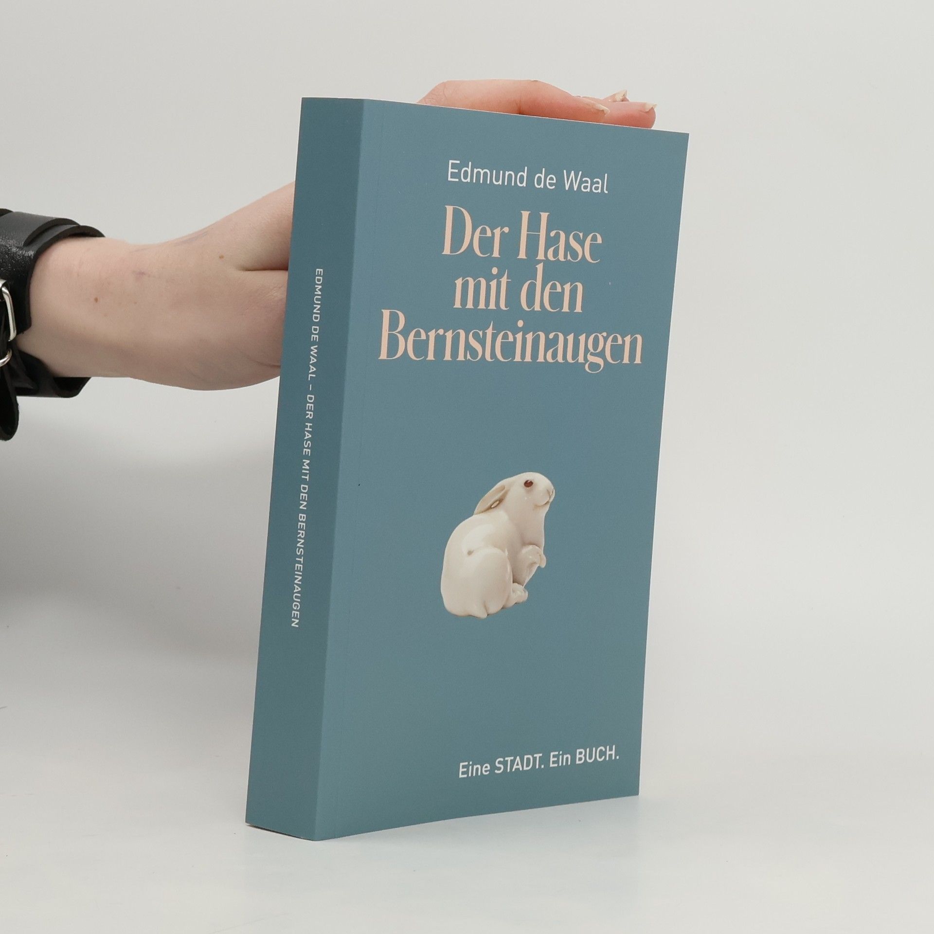 Edmund De Waal Der Hase mit den Bernsteinaugen