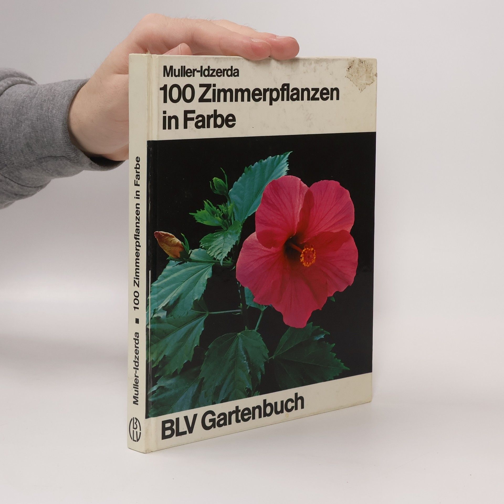 Anna Catharina Müller-Idzerda 100 Zimmerpflanzen in Farbe