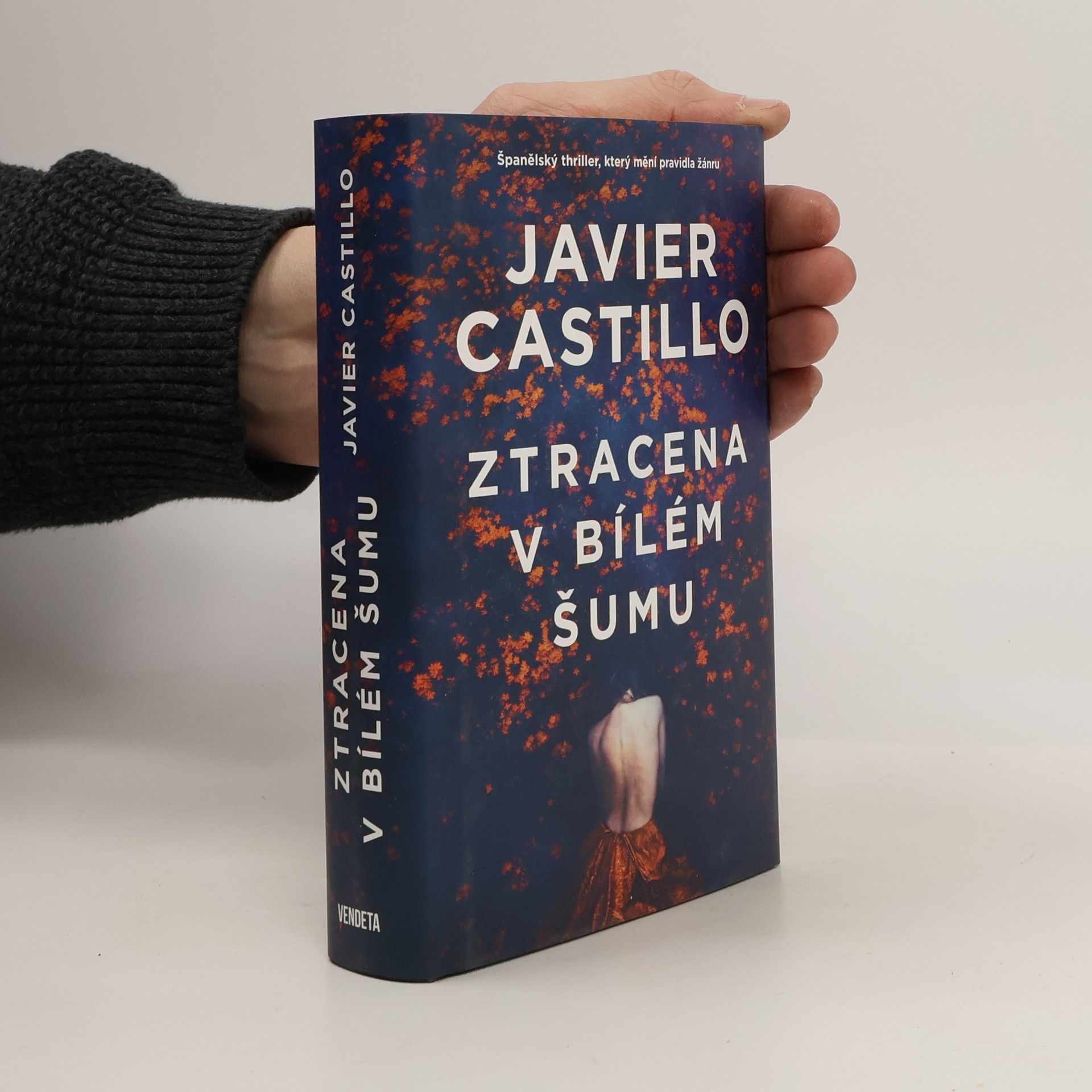 Javier Castillo Ztracena v bílém šumu