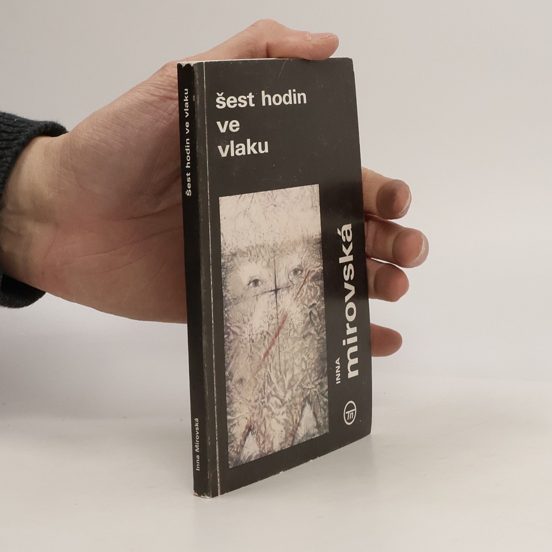 Inna Rottová Mirovská Šest hodin ve vlaku