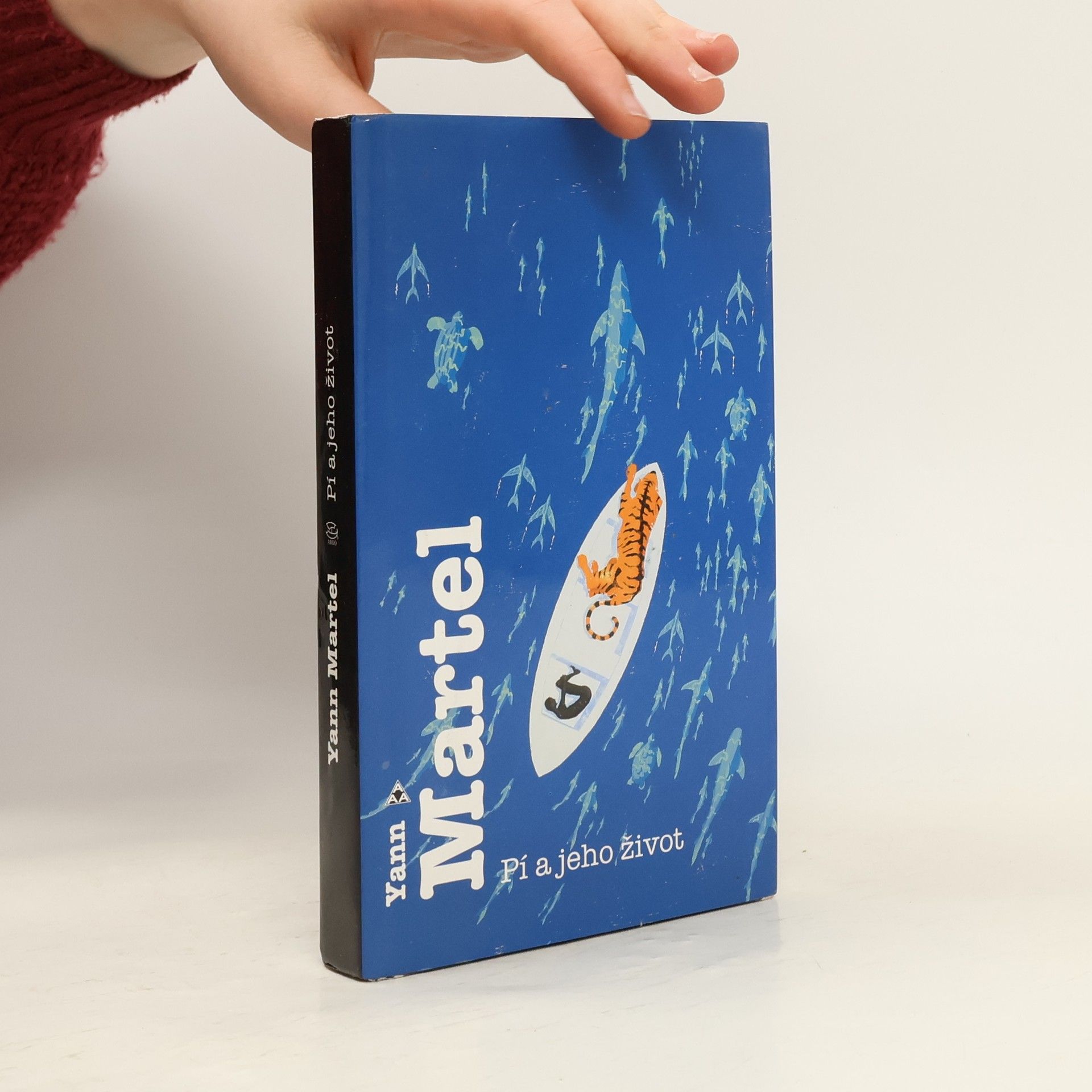 Yann Martel Pí a jeho život