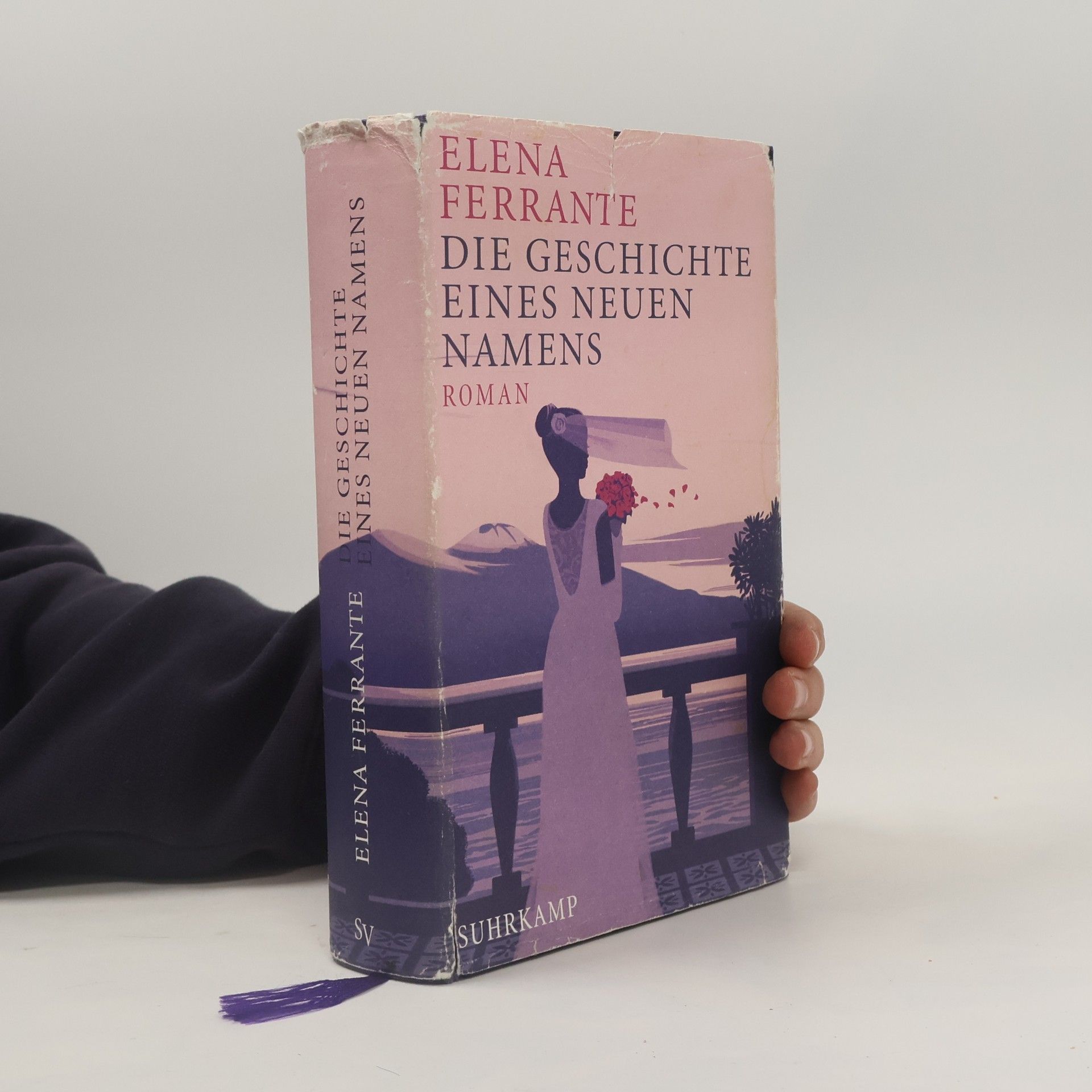 Elena Ferrante Die Geschichte eines neuen Namens: Jugendjahre