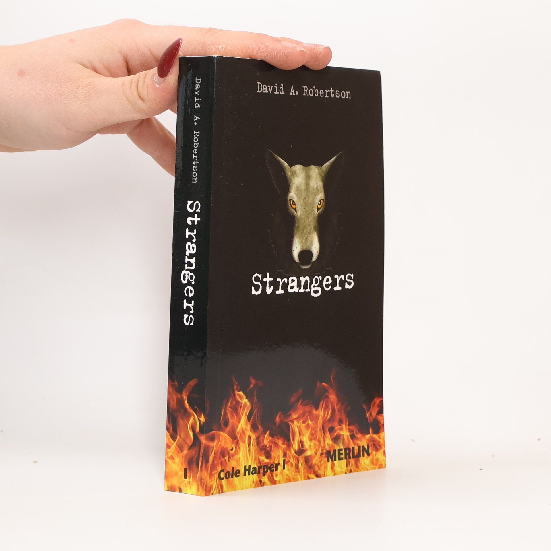 David Robertson Strangers. Cole Harper, Teil 1