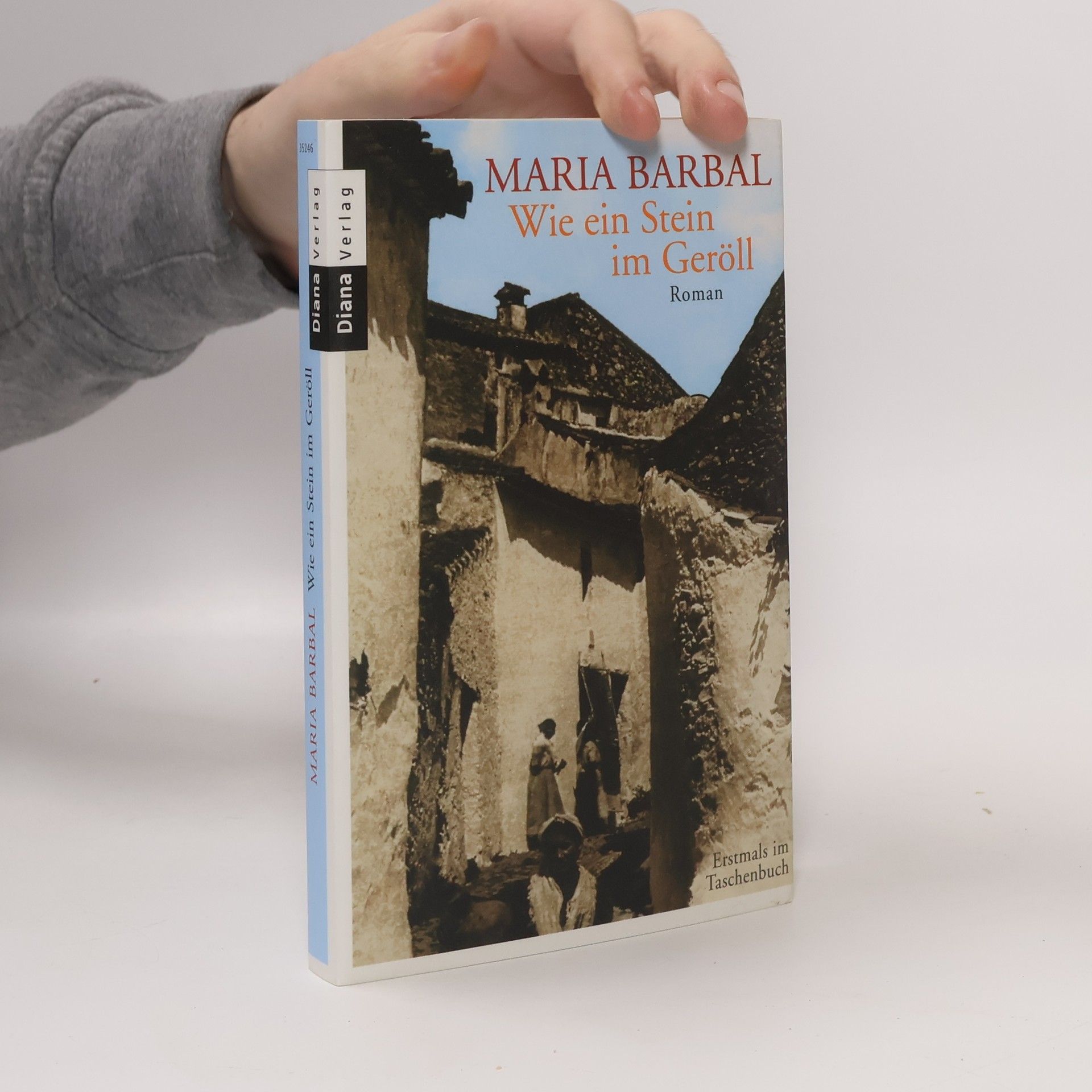 Maria Barbal i Farré Wie ein Stein im Geröll