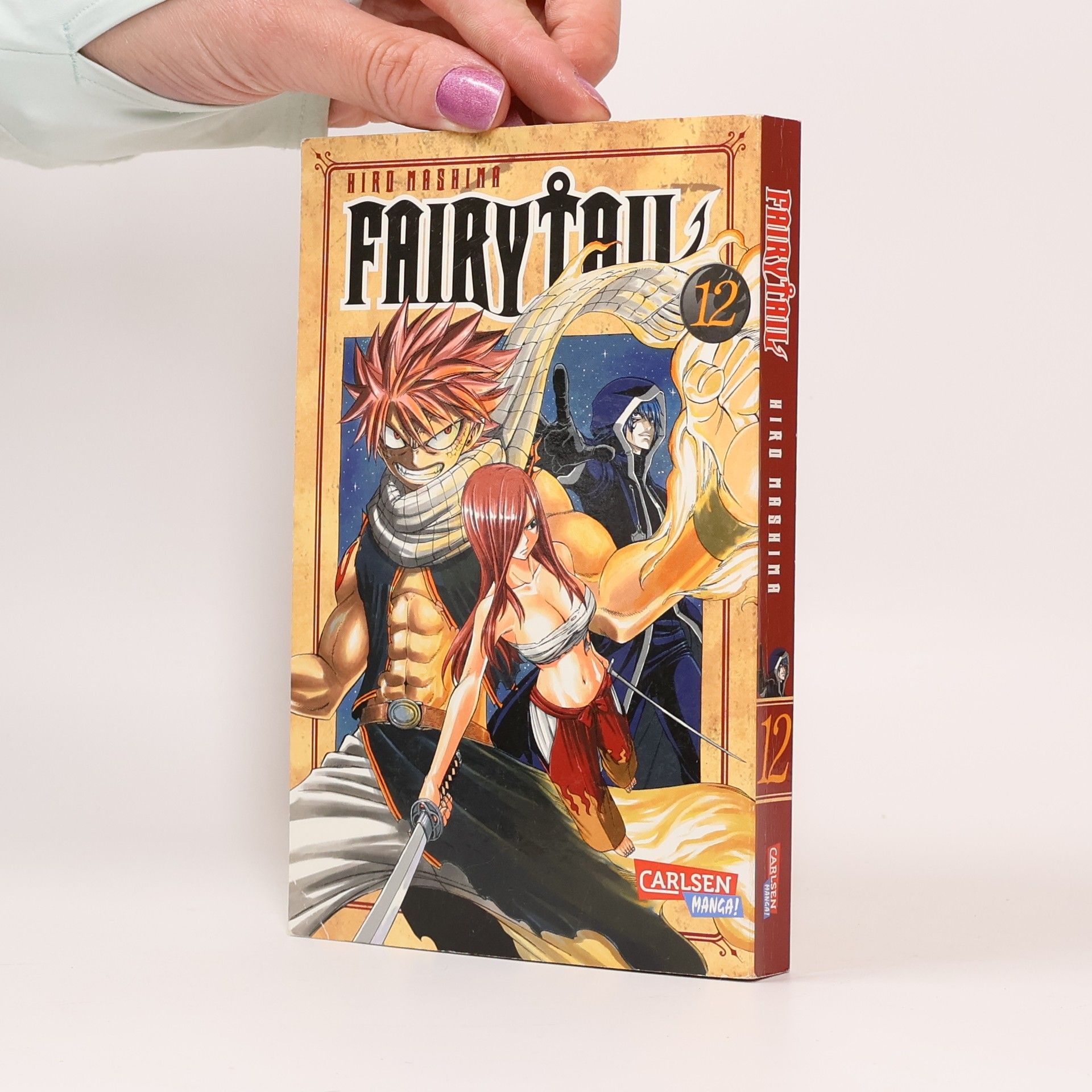Hiro M. Fairy Tail Volume 12