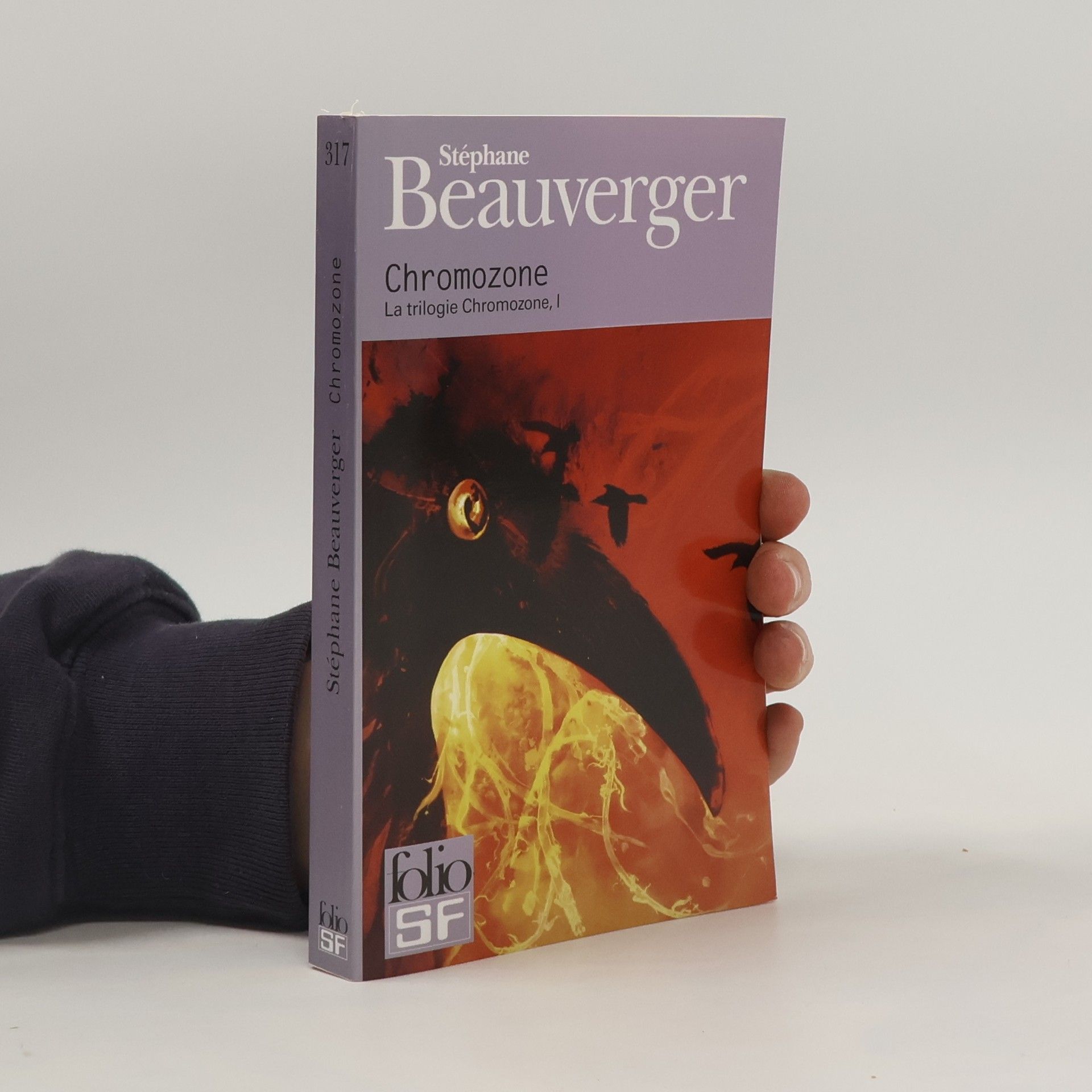 Stéphane Beauverger Chromozone