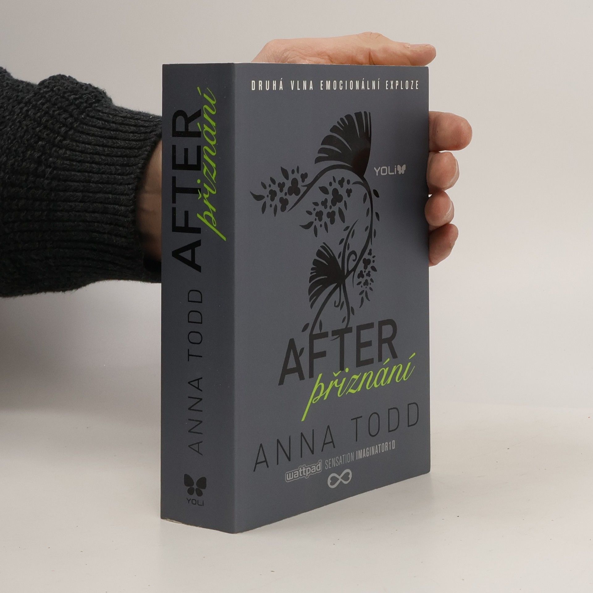 Anna Todd After. Přiznání