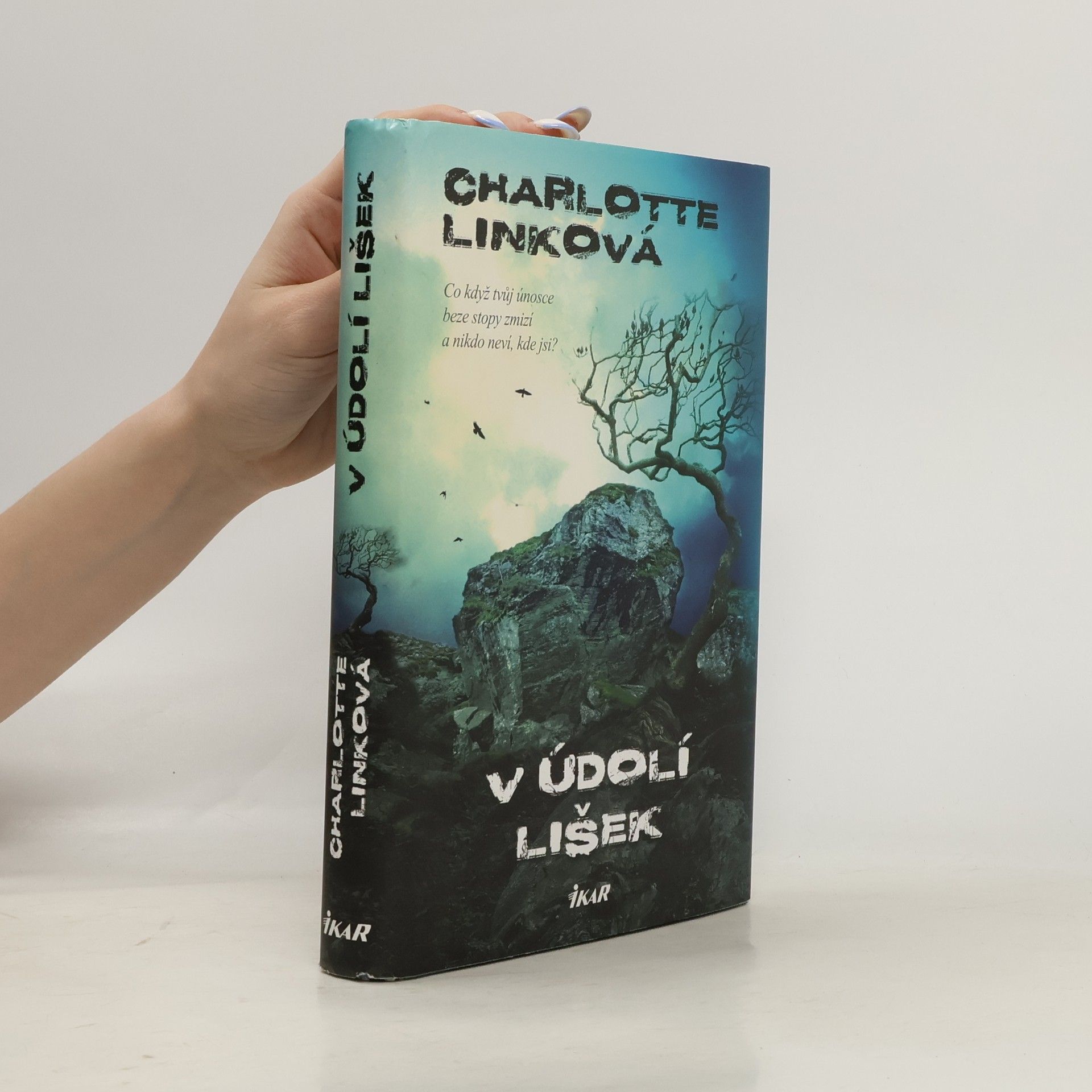 Charlotte Link V údolí lišek