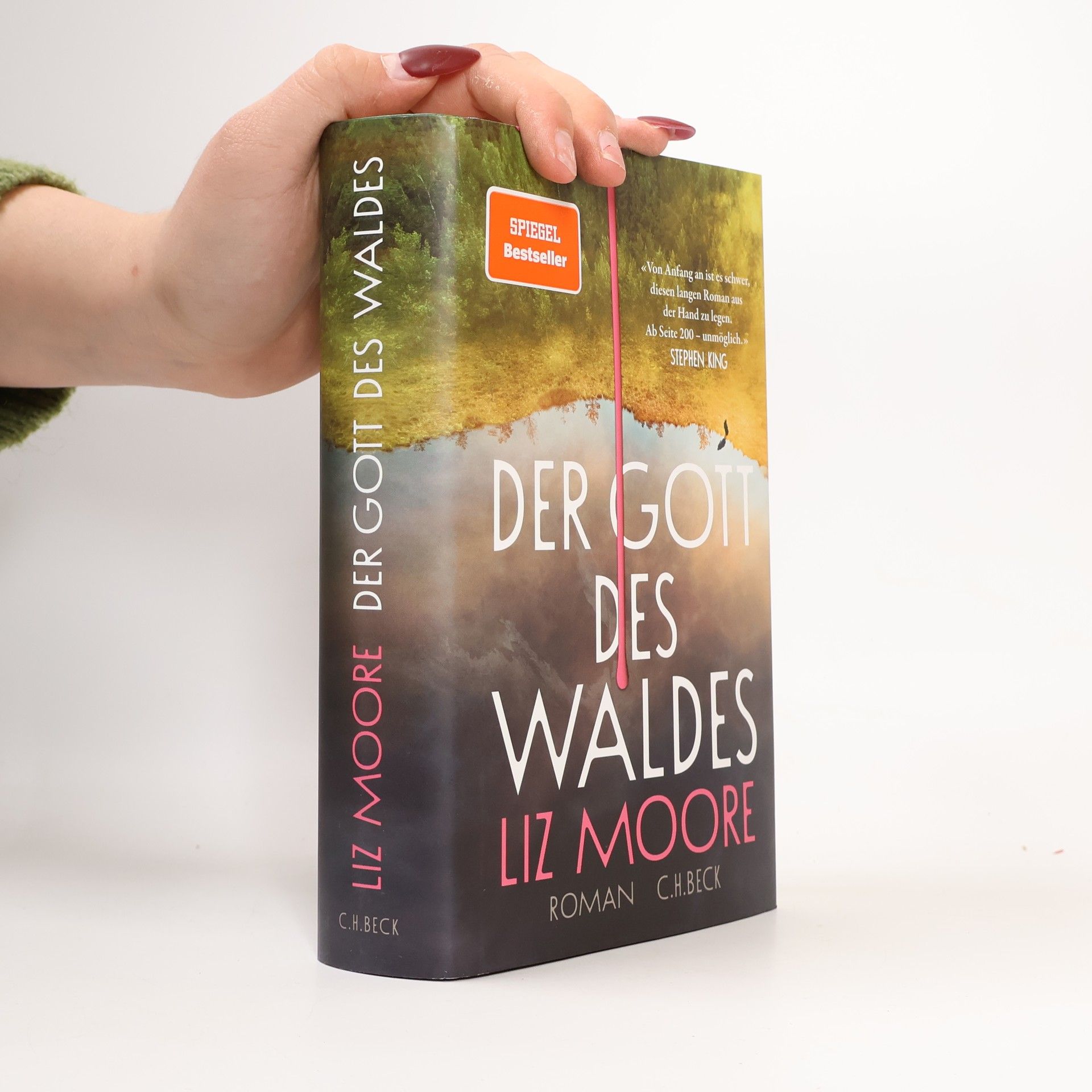 Liz Moore Der Gott des Waldes