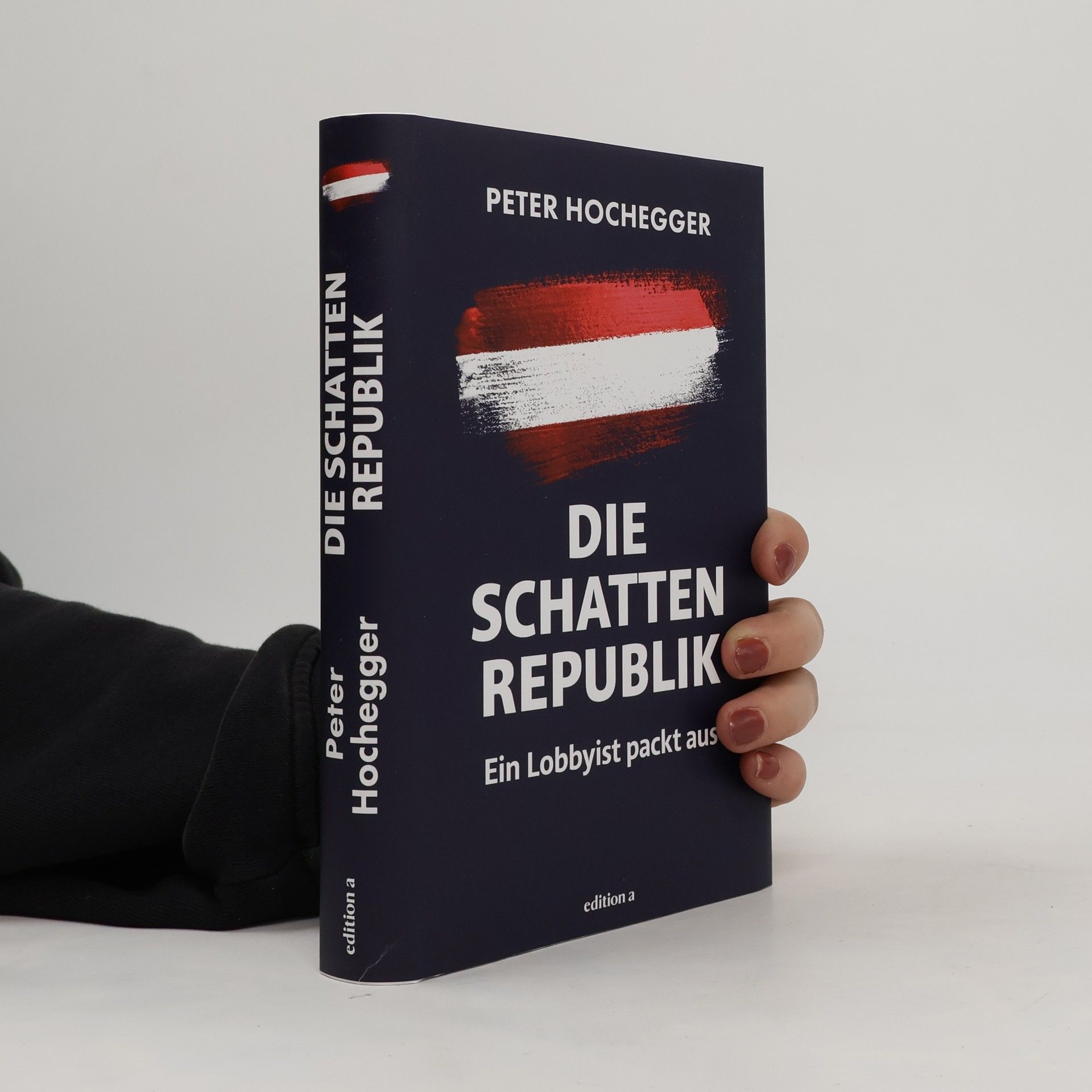 Peter Hochegger Die Schattenrepublik